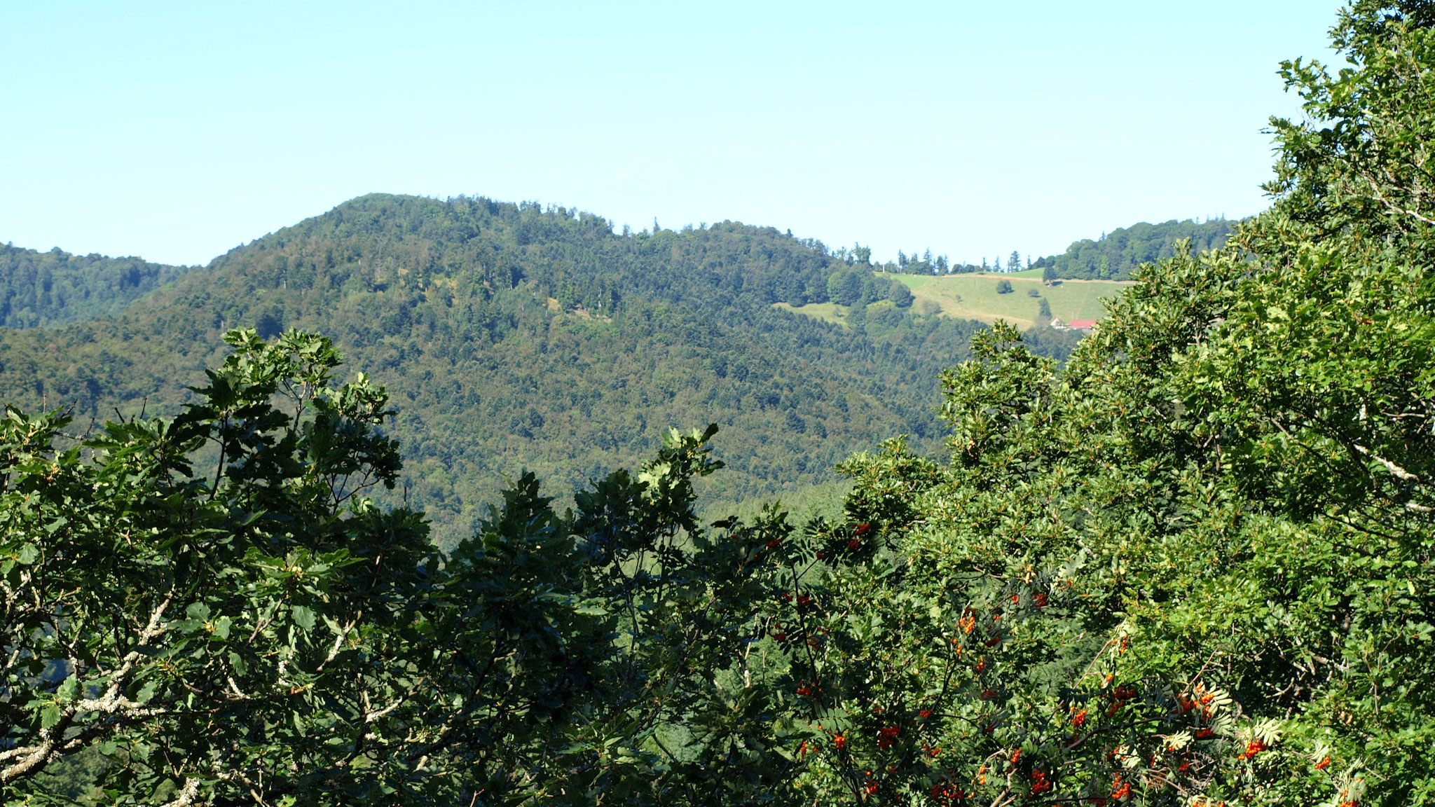 Vue sur le Kohlschlag et le col Amic