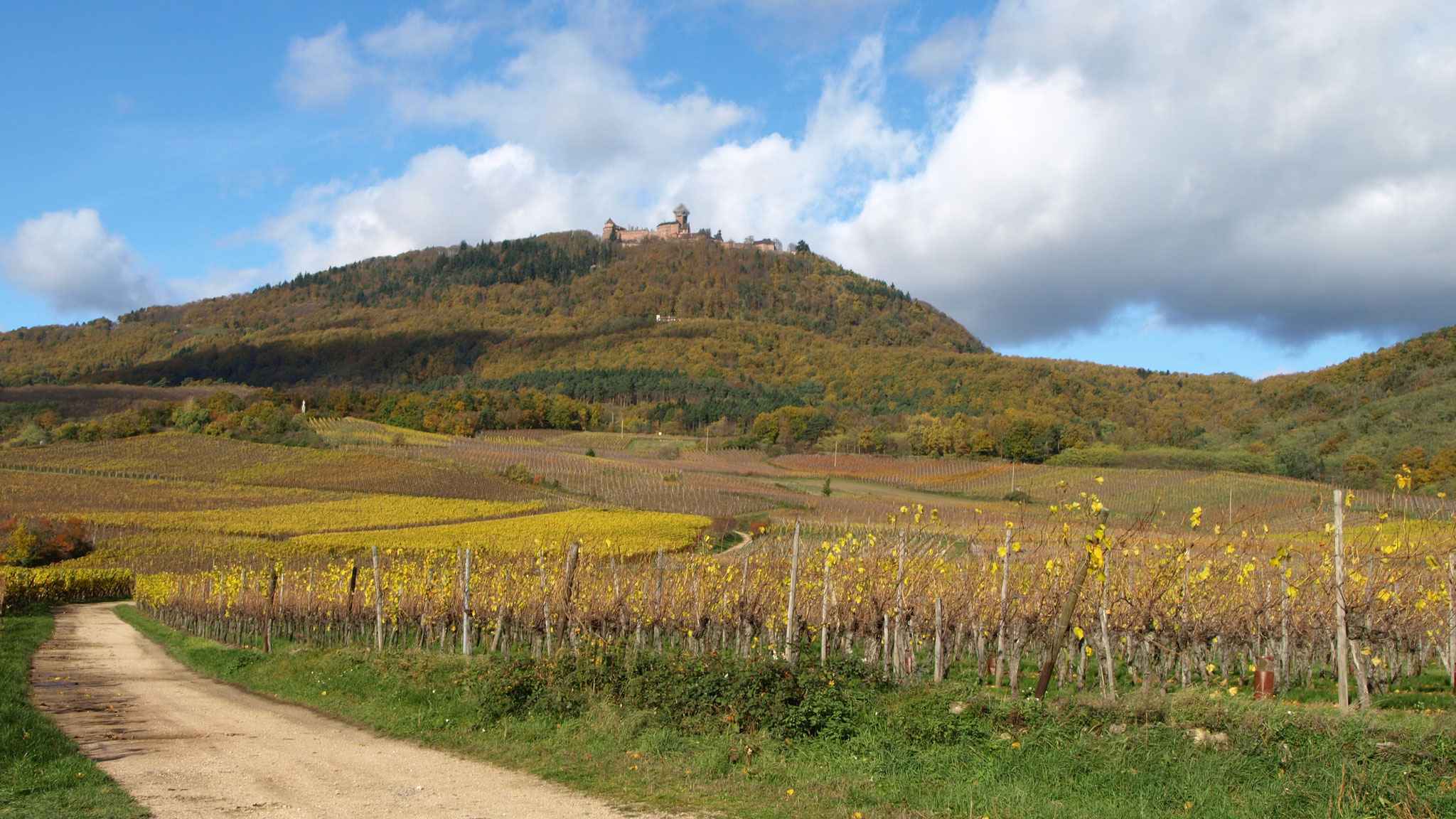 Au pied du Haut-Koenigsbourg