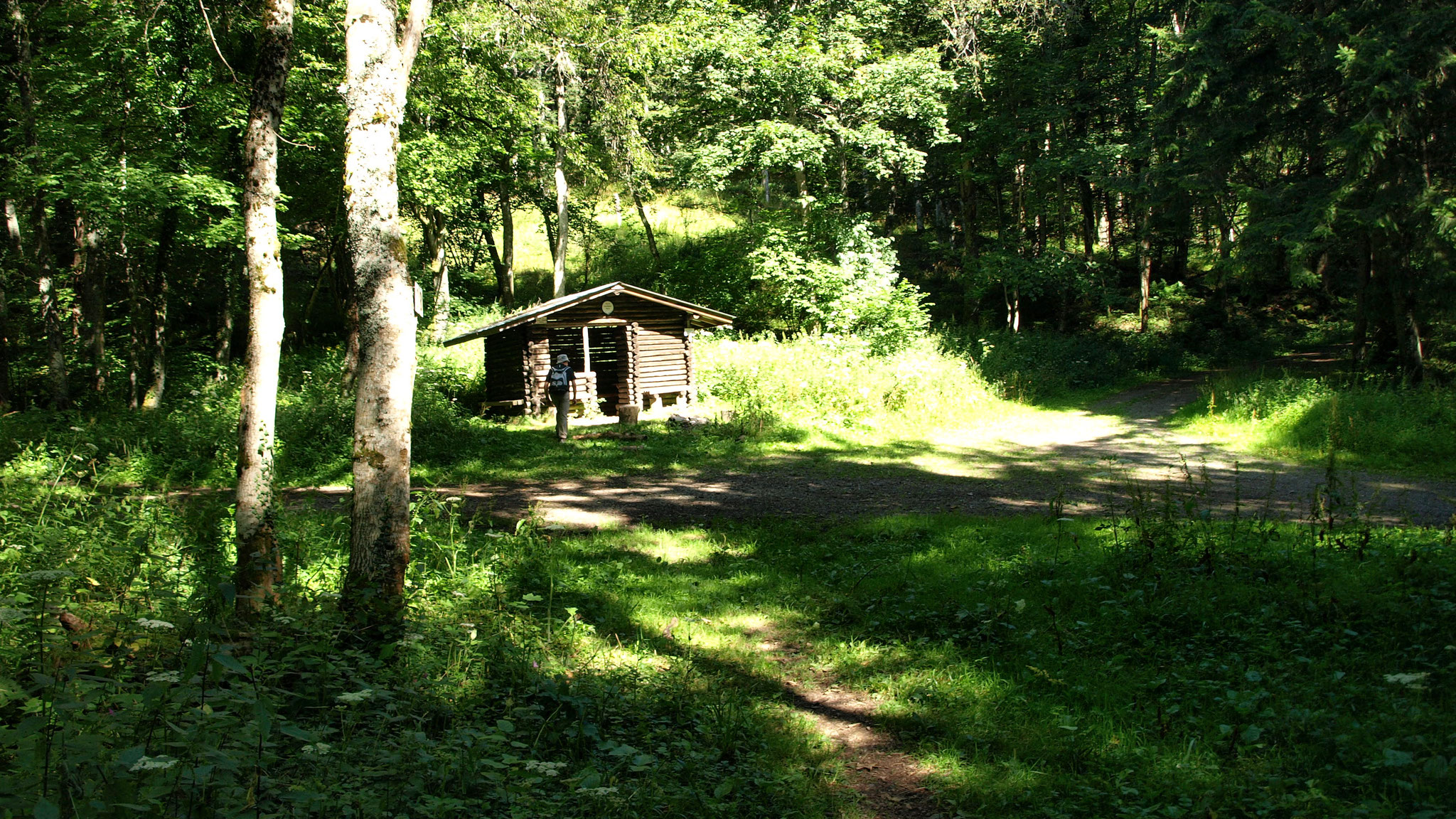 Col du Holzwasen