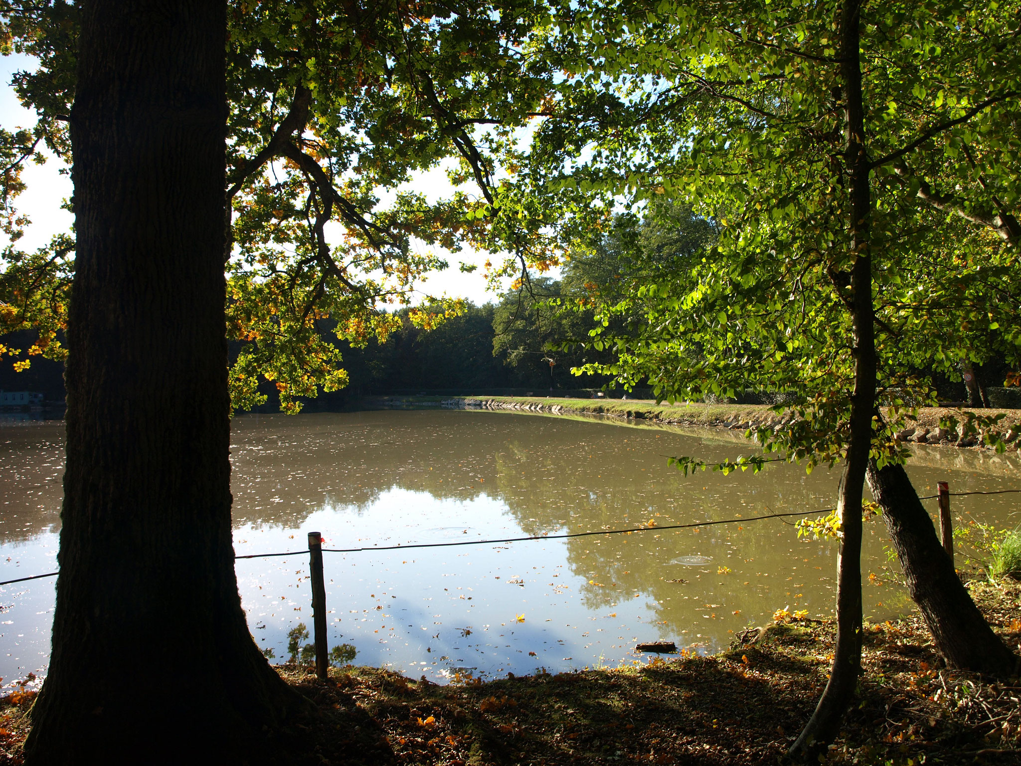 Lanfürstenweiher