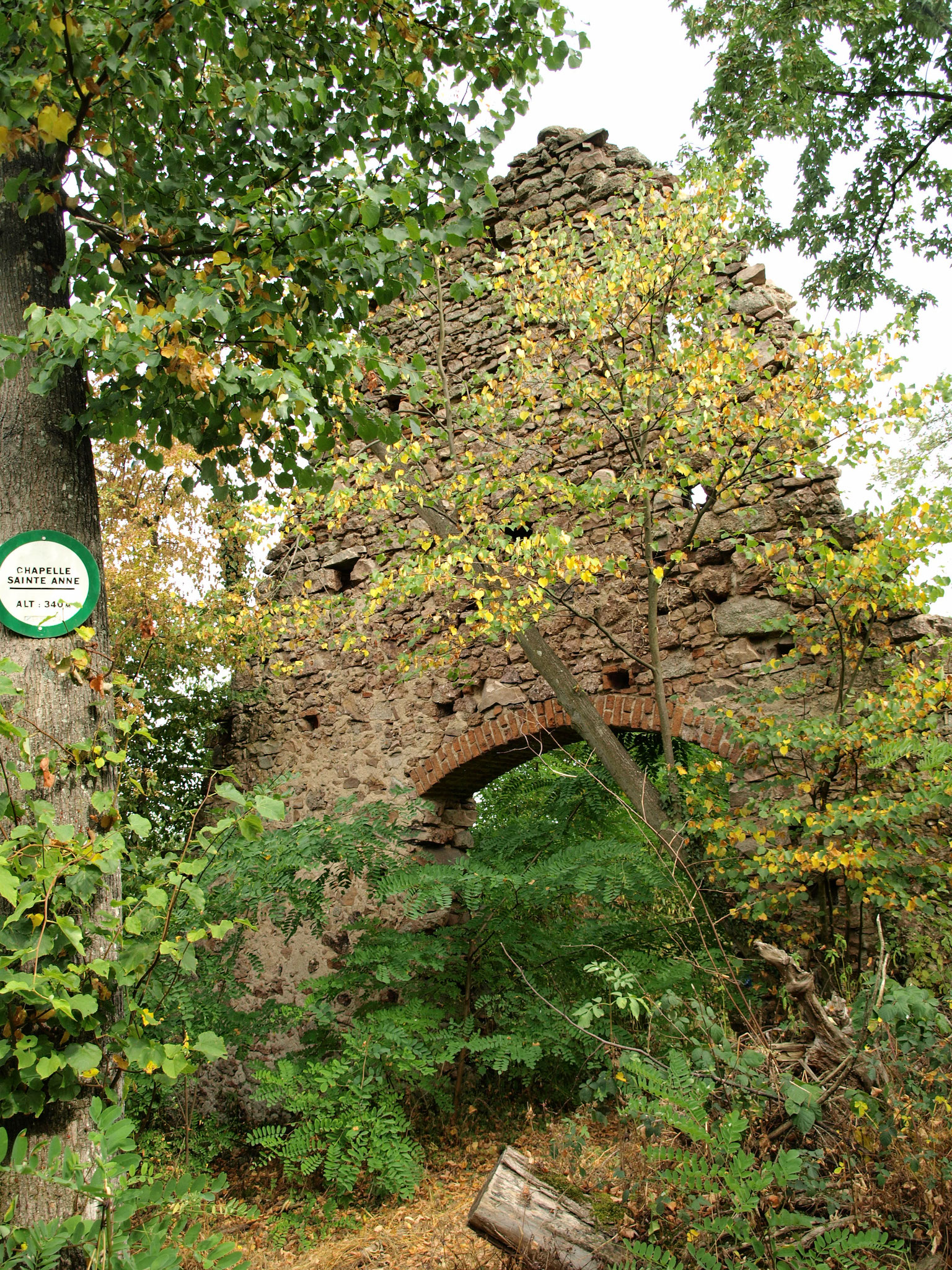 ruine de la chapelle Sainte Anne