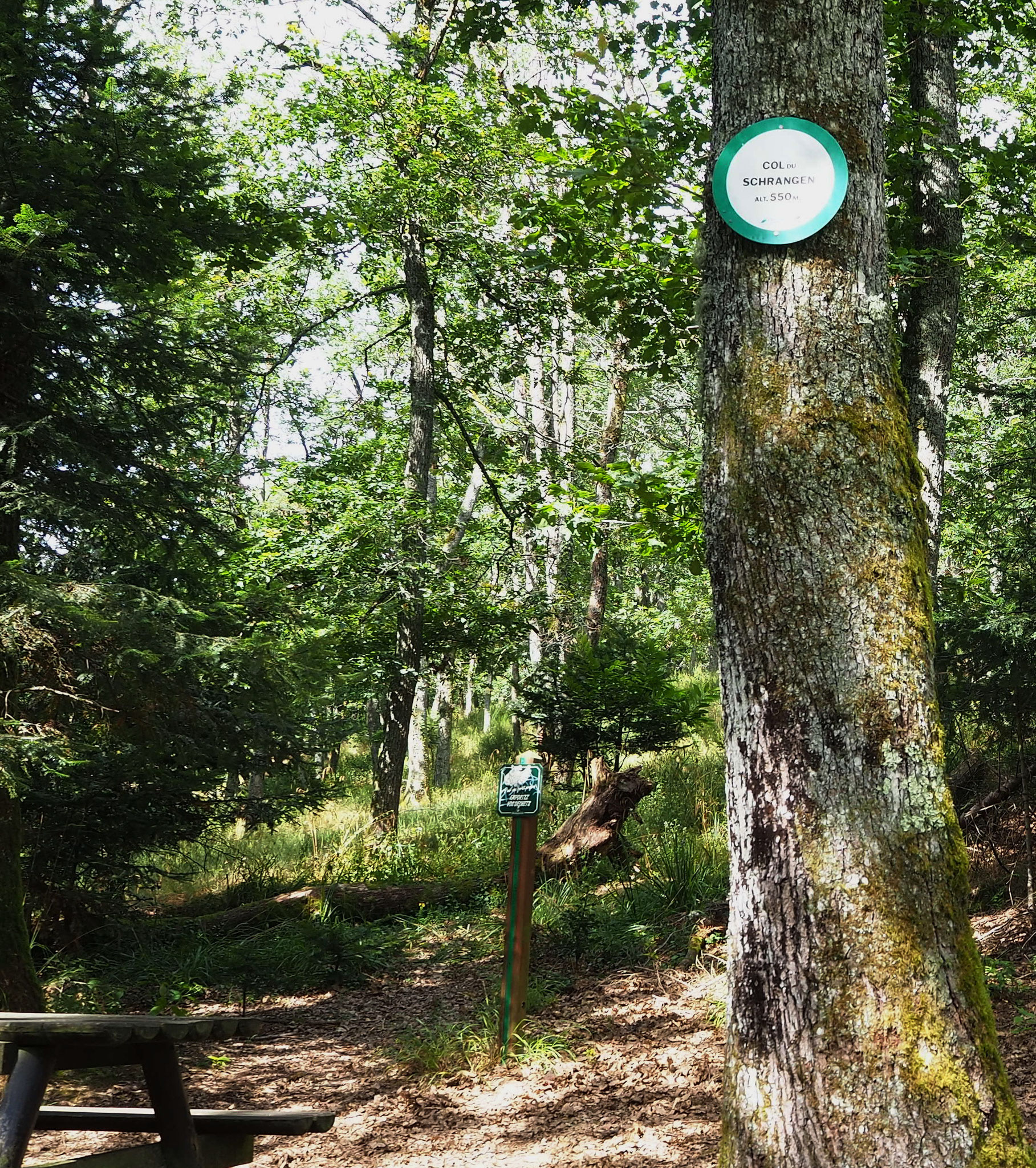 Col du Schrangen