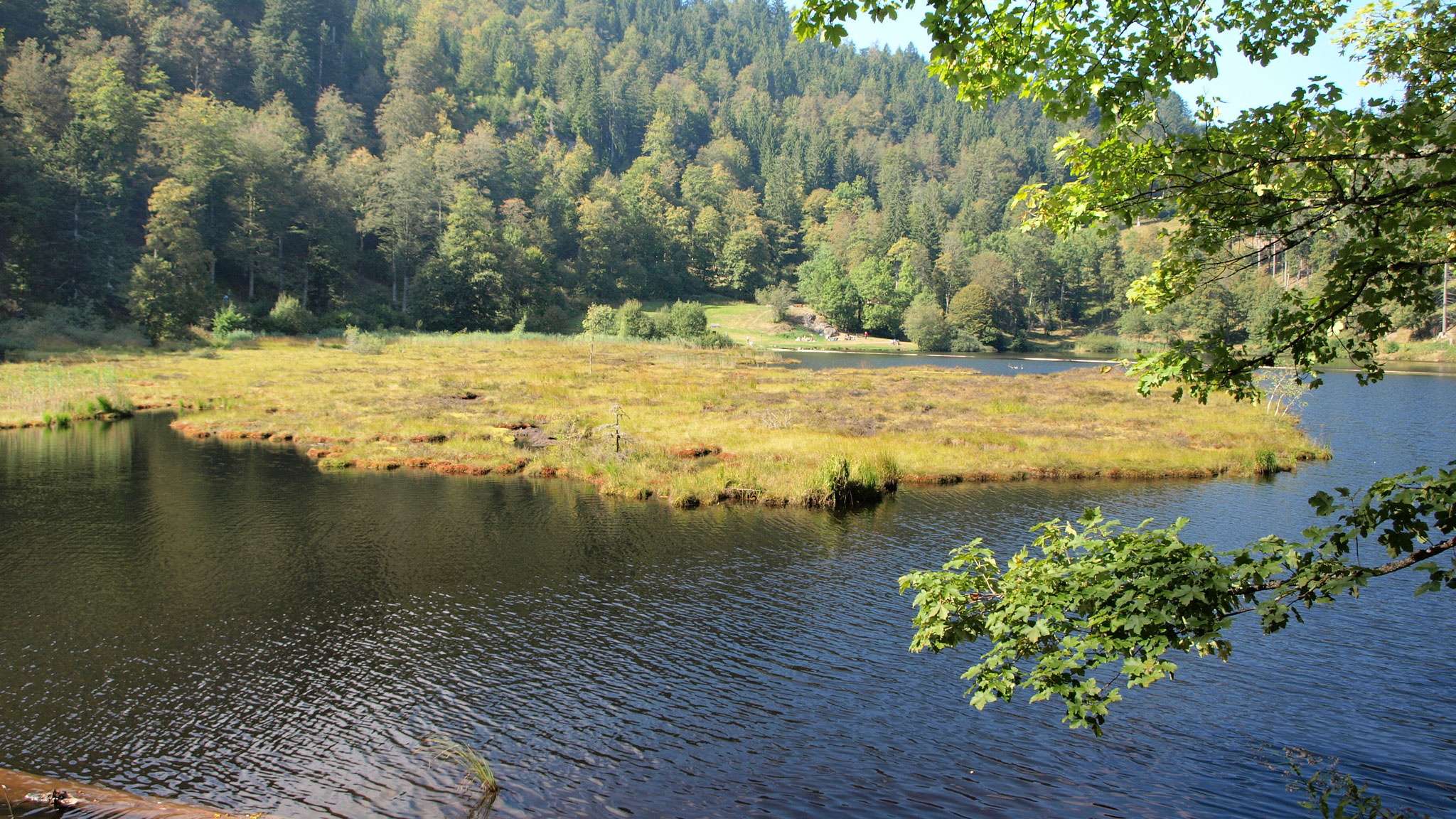 Nonnenmattenweiher