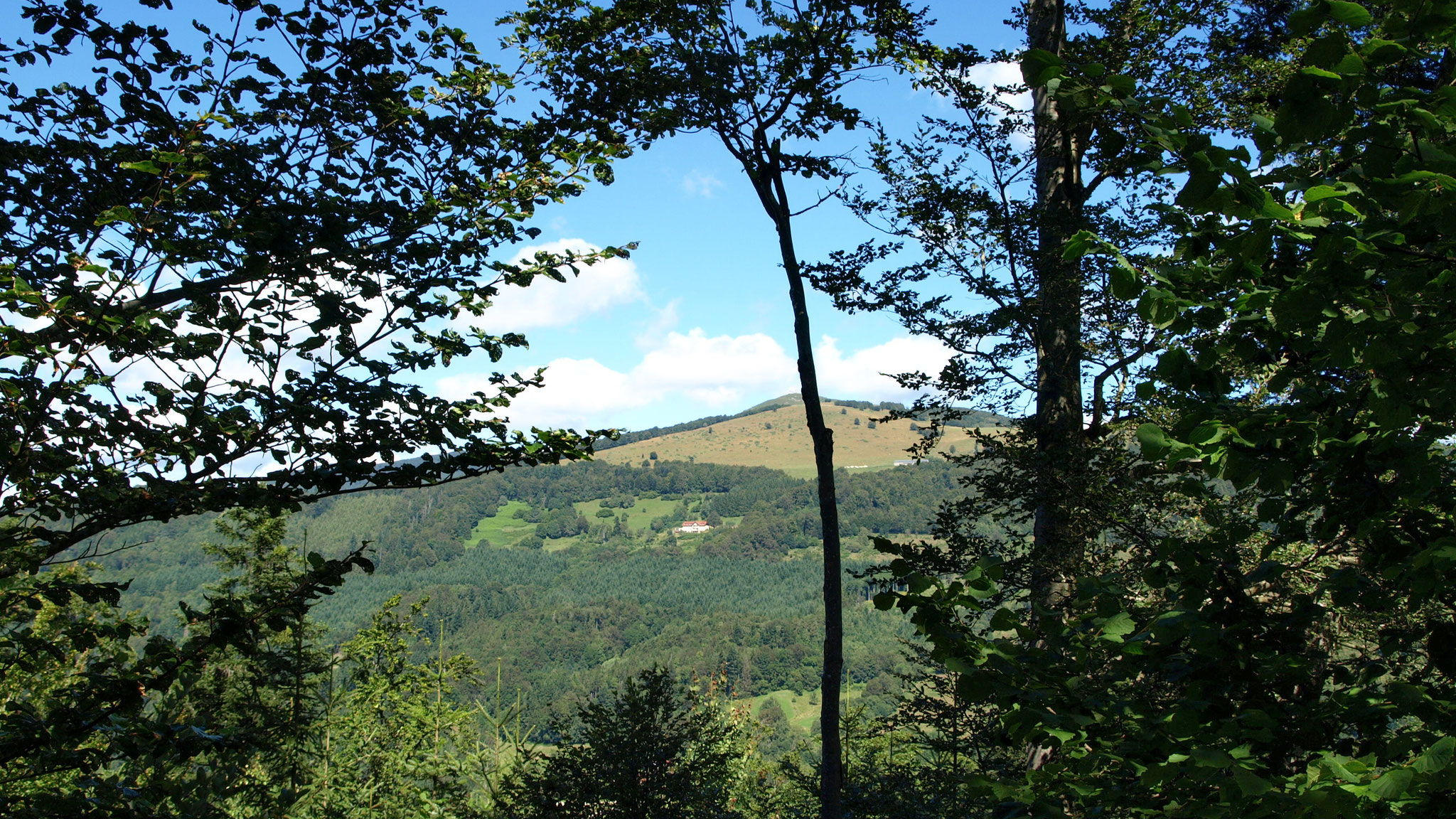 Grand Ballon