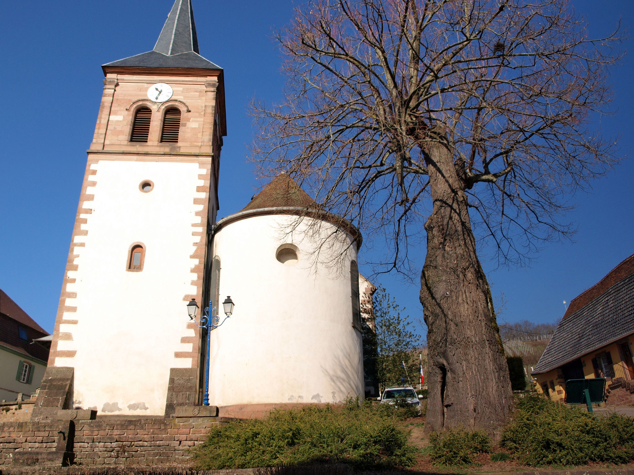 Albé - église et arbre de la Liberté