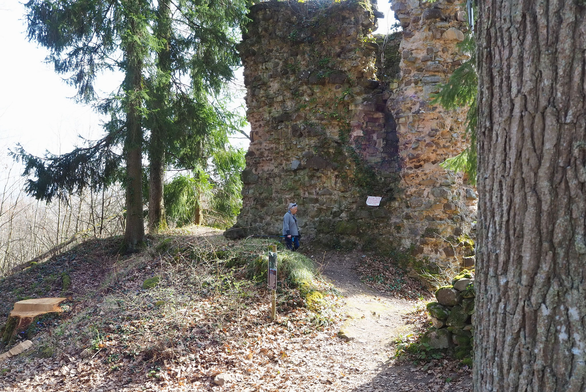Stettenberg