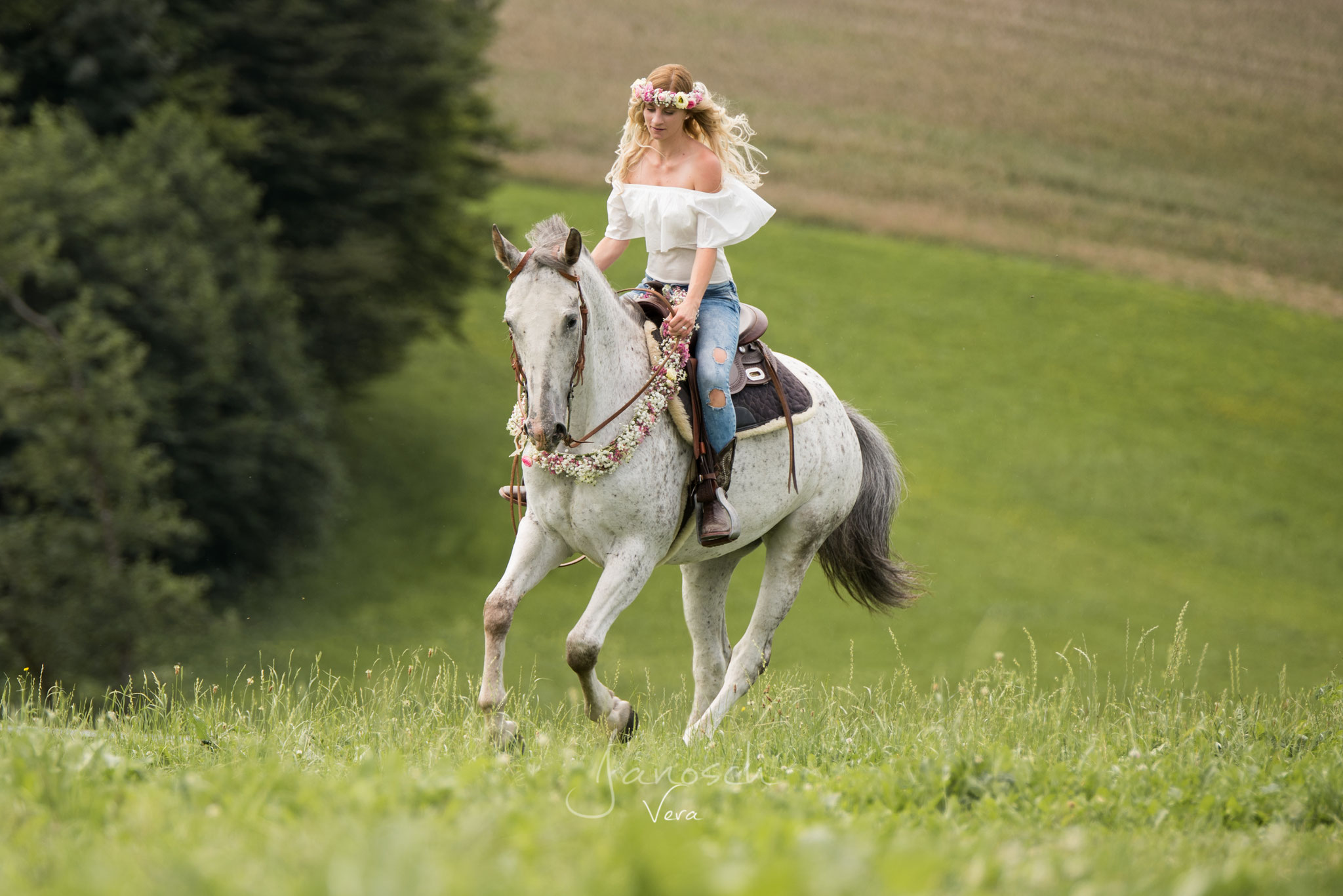 Reitbilder - verajanoschfotografies Webseite!