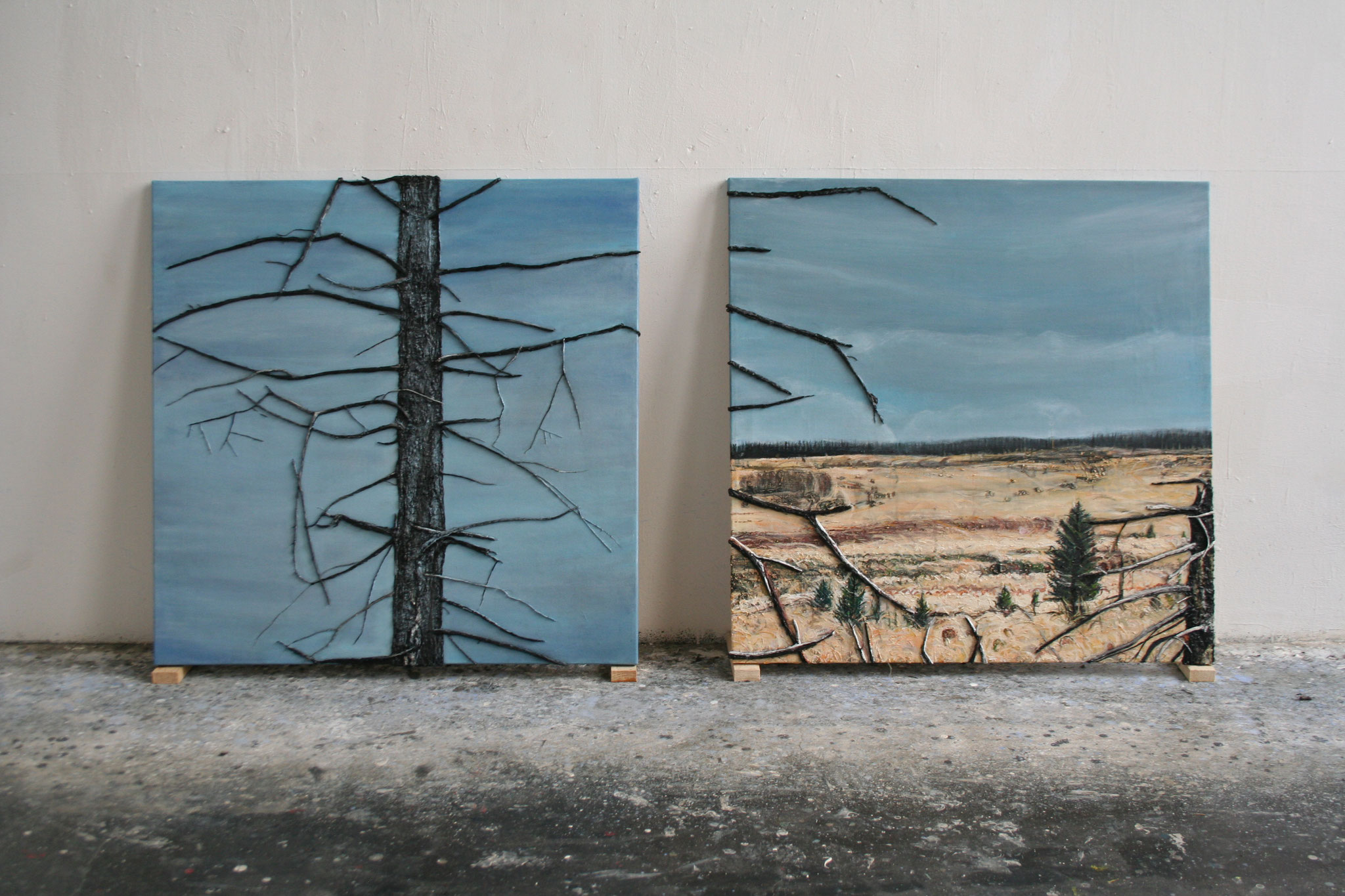 Baraque Michel V, Hohes Venn | 90x90 | 2015