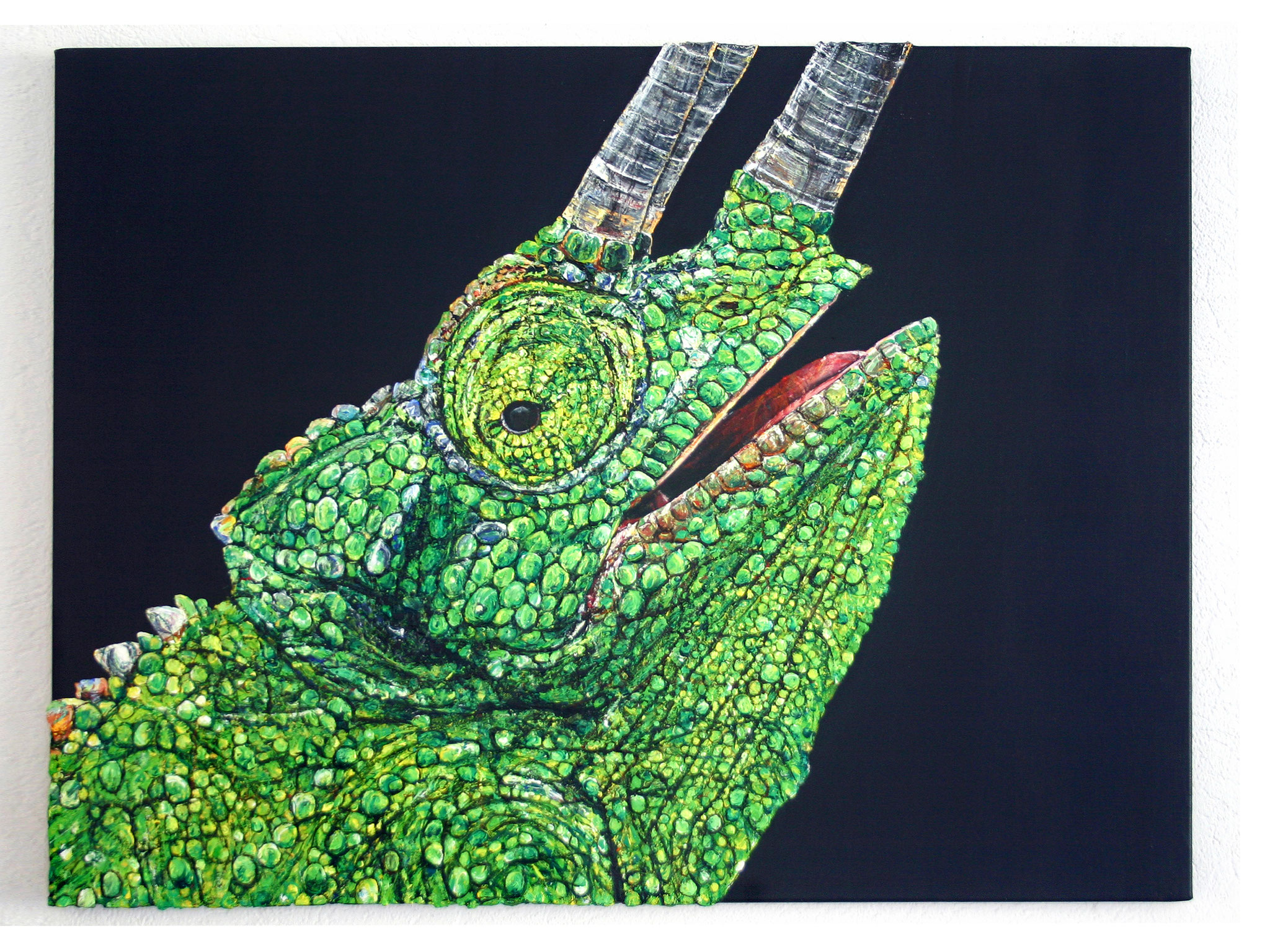 Show me your true colours | 60x80| 2016 | in Privatbesitz