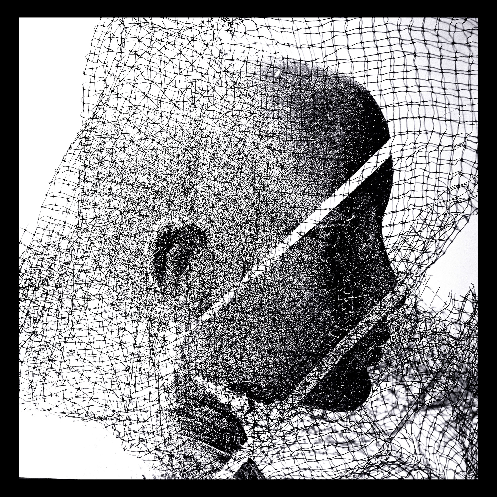 Fotoprint auf Hahnemühlepapier mit Drahtgeflecht