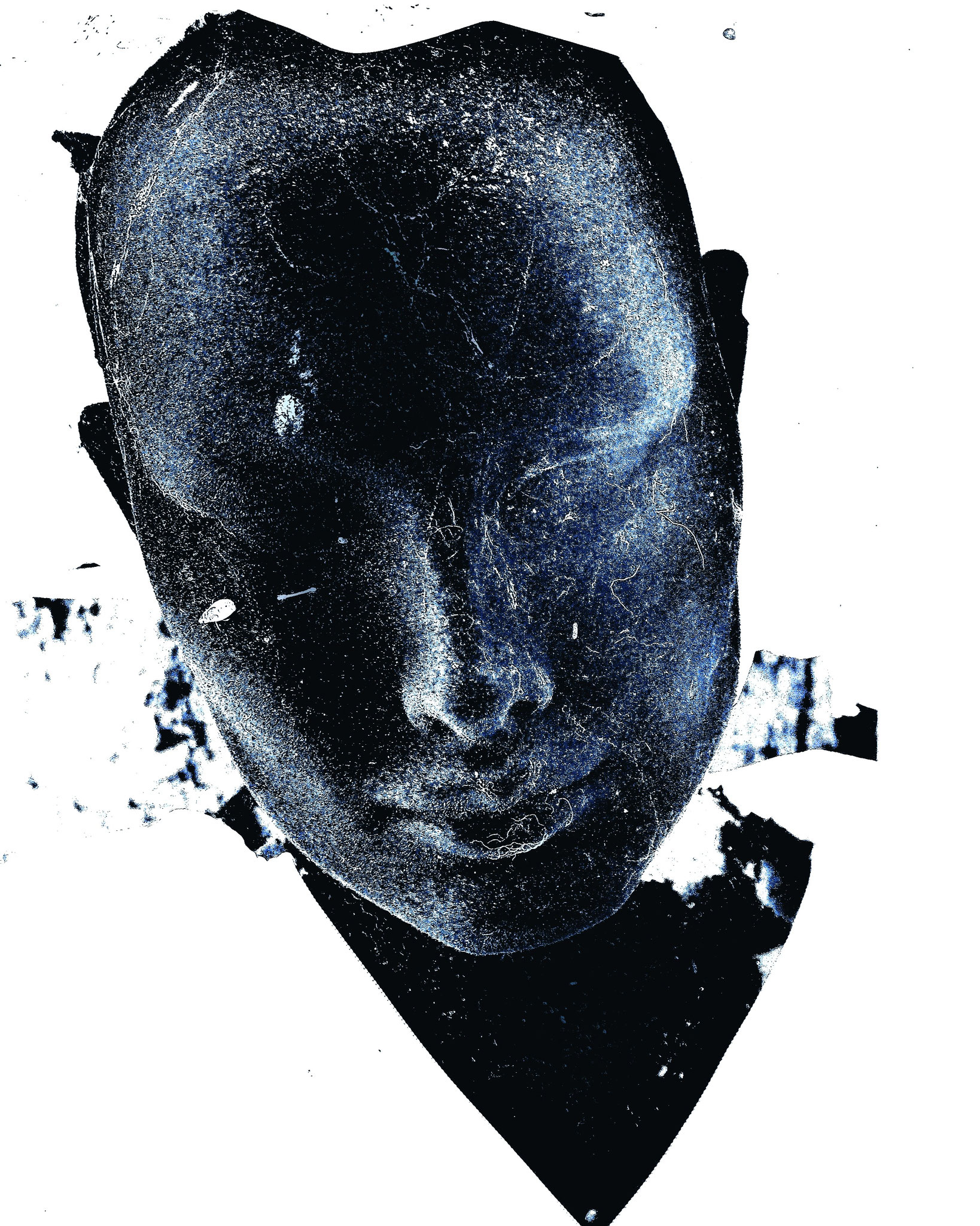 Fotoprint auf Hahnemühlepapier  75 x 50 cm