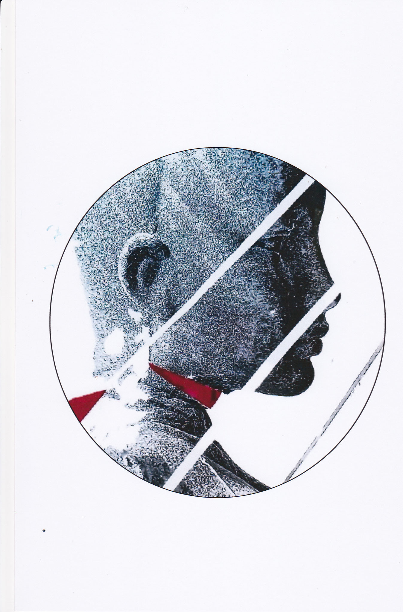 Fotomixtechnik auf Hahnemühlepapier 75 x 40 cm