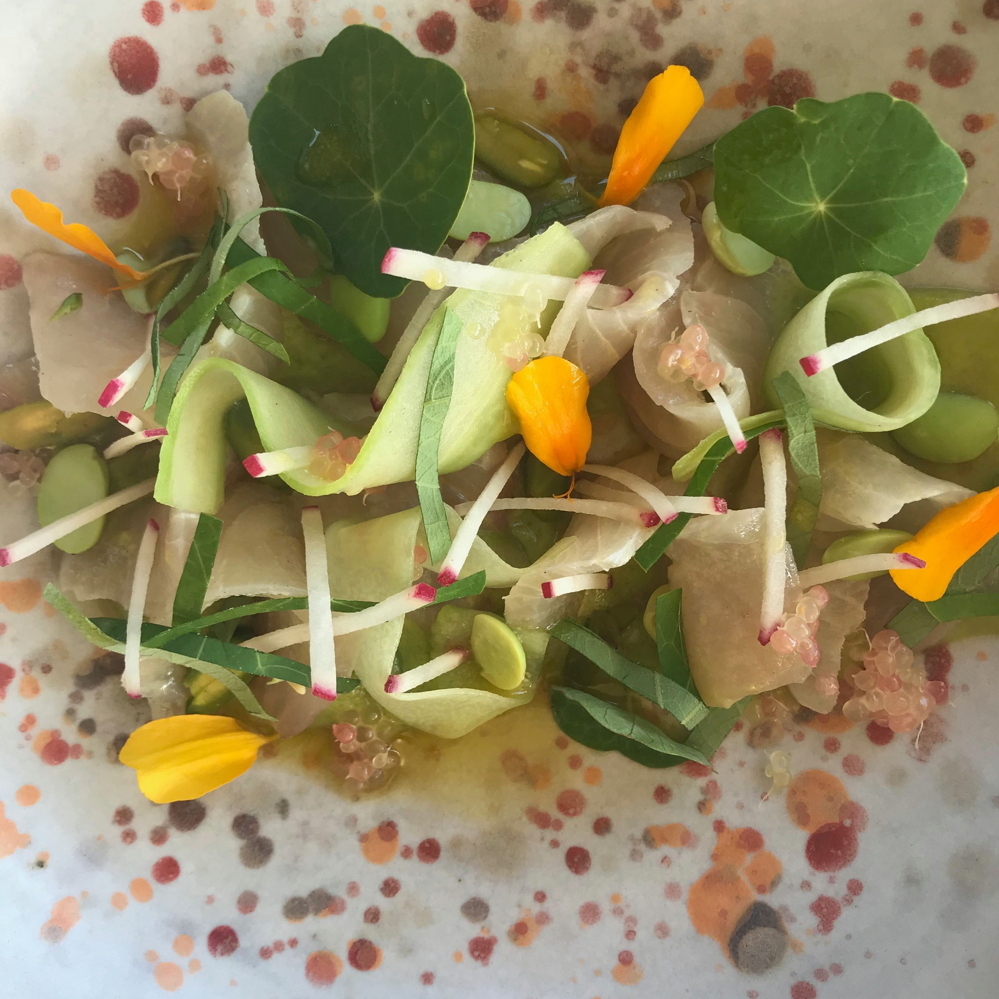 456: kingfish salad [and a gorgeous plate]