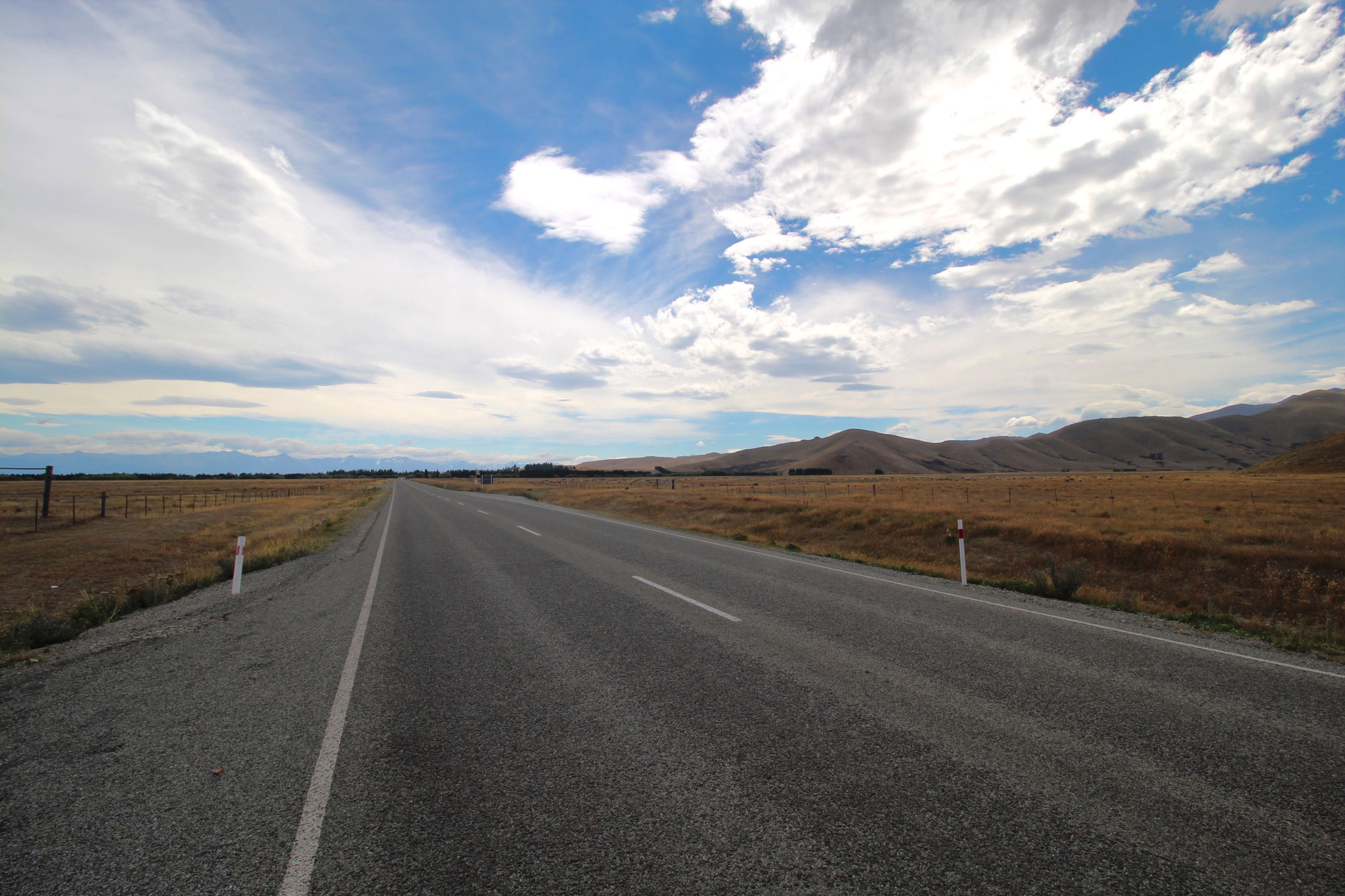 #lovenewzealand