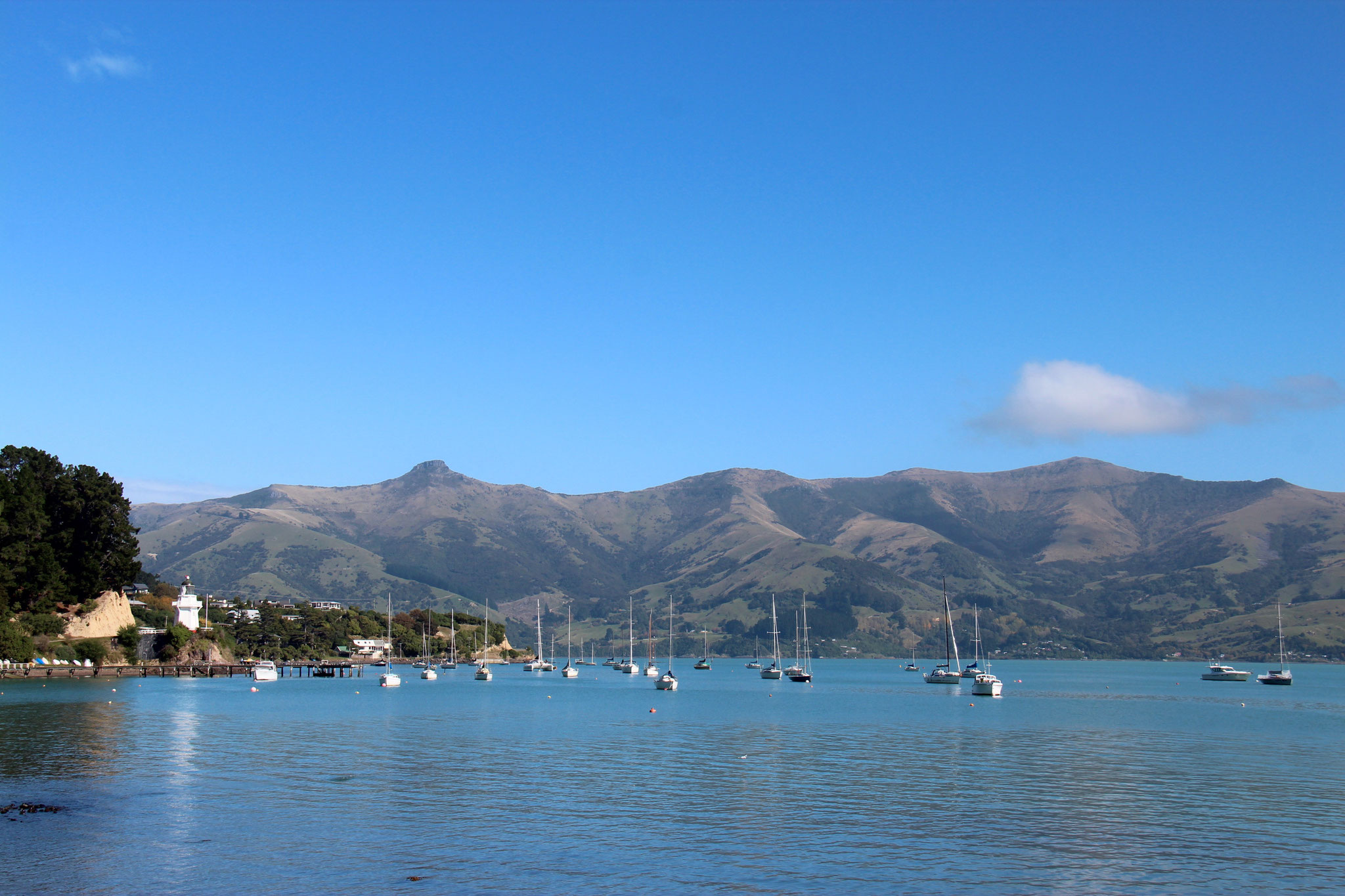 565: Lots of boats, lots of bays to explore!