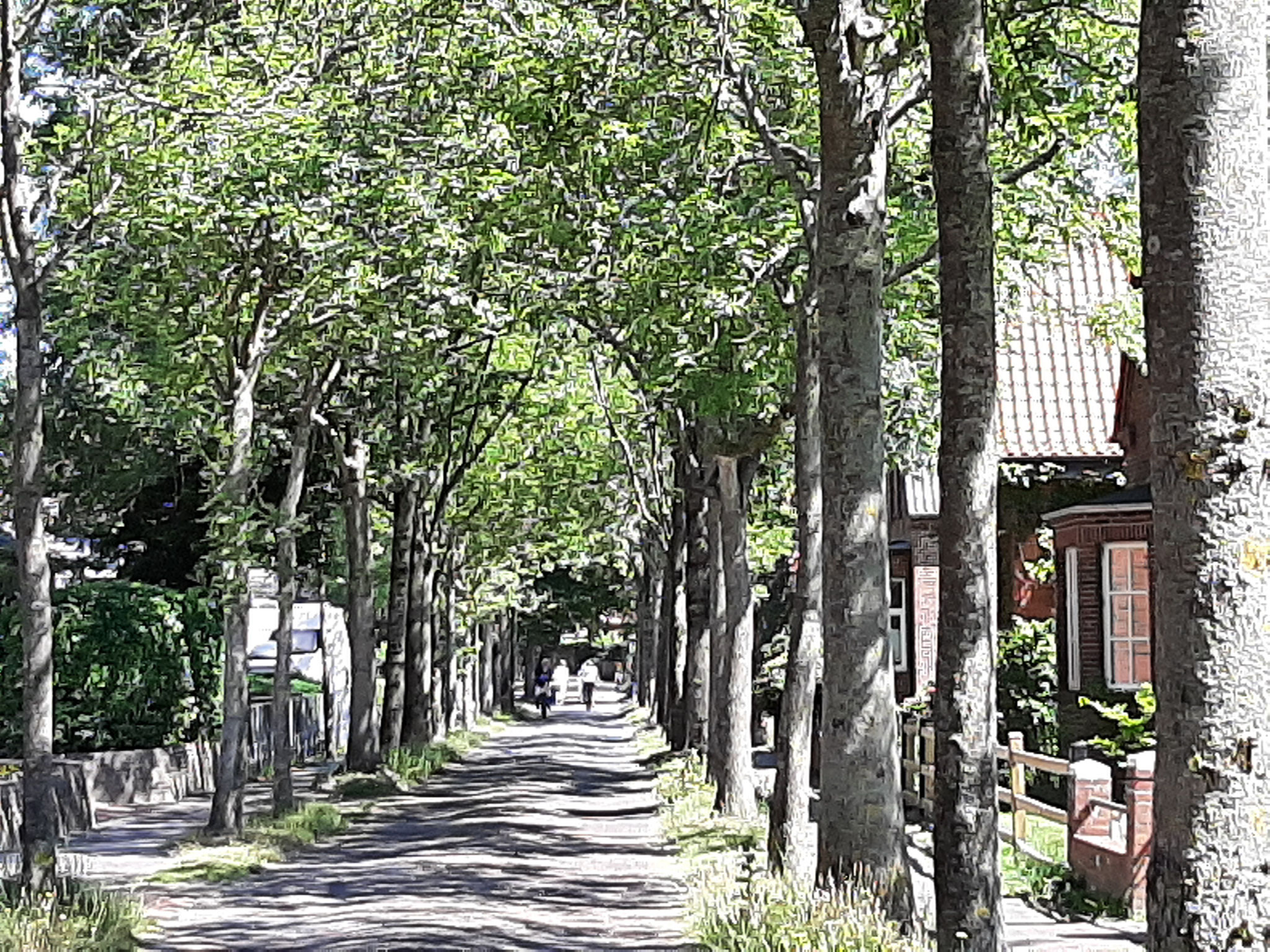 Wiesenstrasse