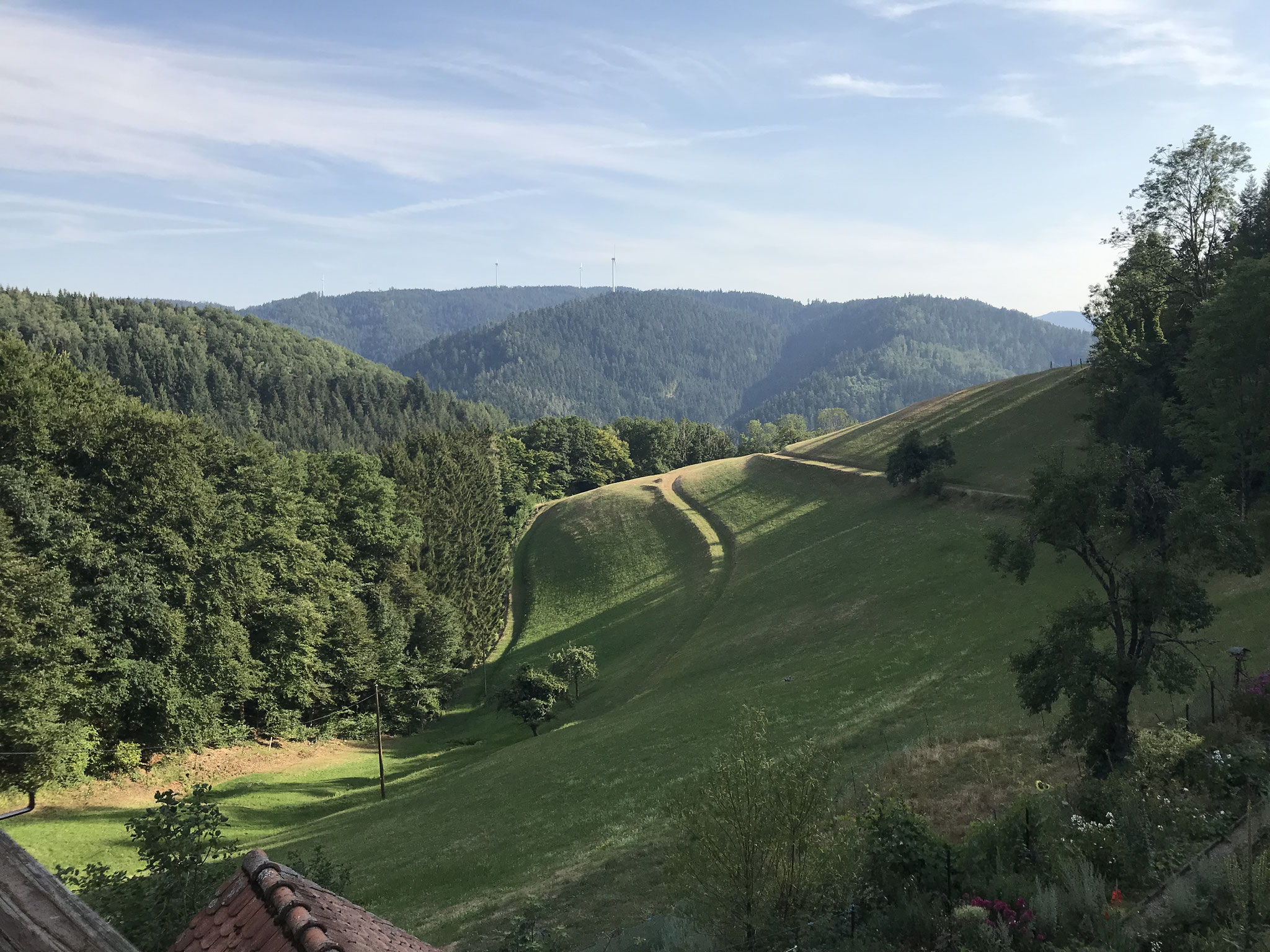 Blick vom Balkon