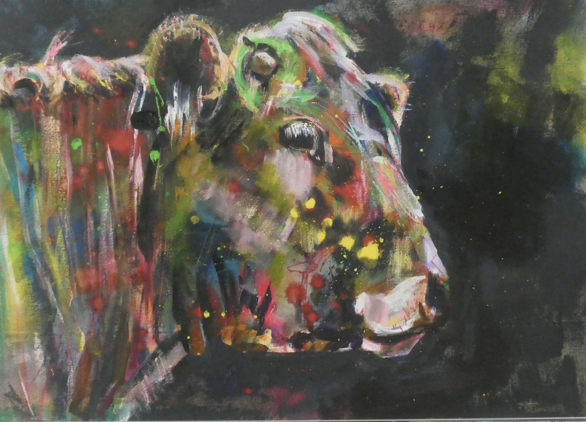 A Vaca 14,  50x70,  acrylic on canvas 