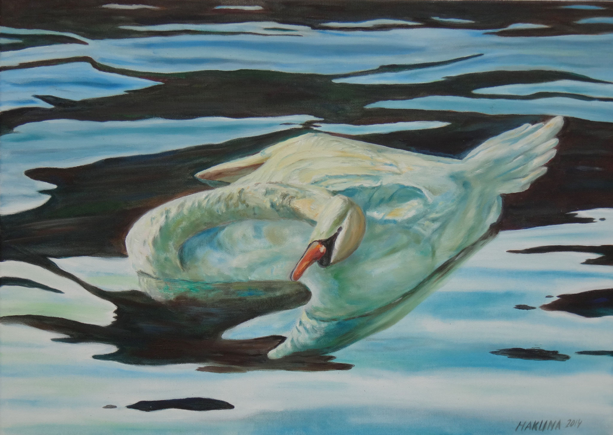 * Schwan
