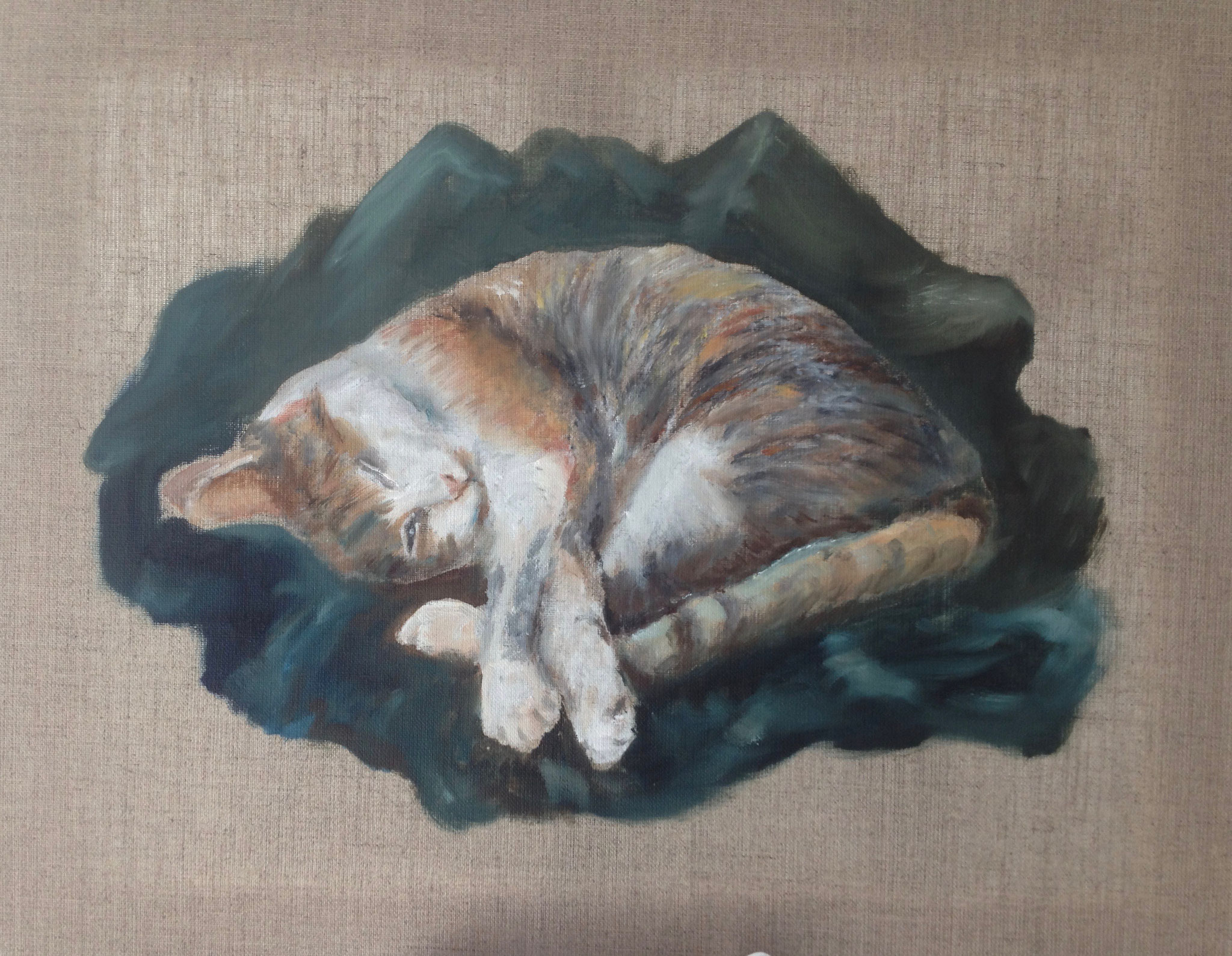 schlafende Katze*