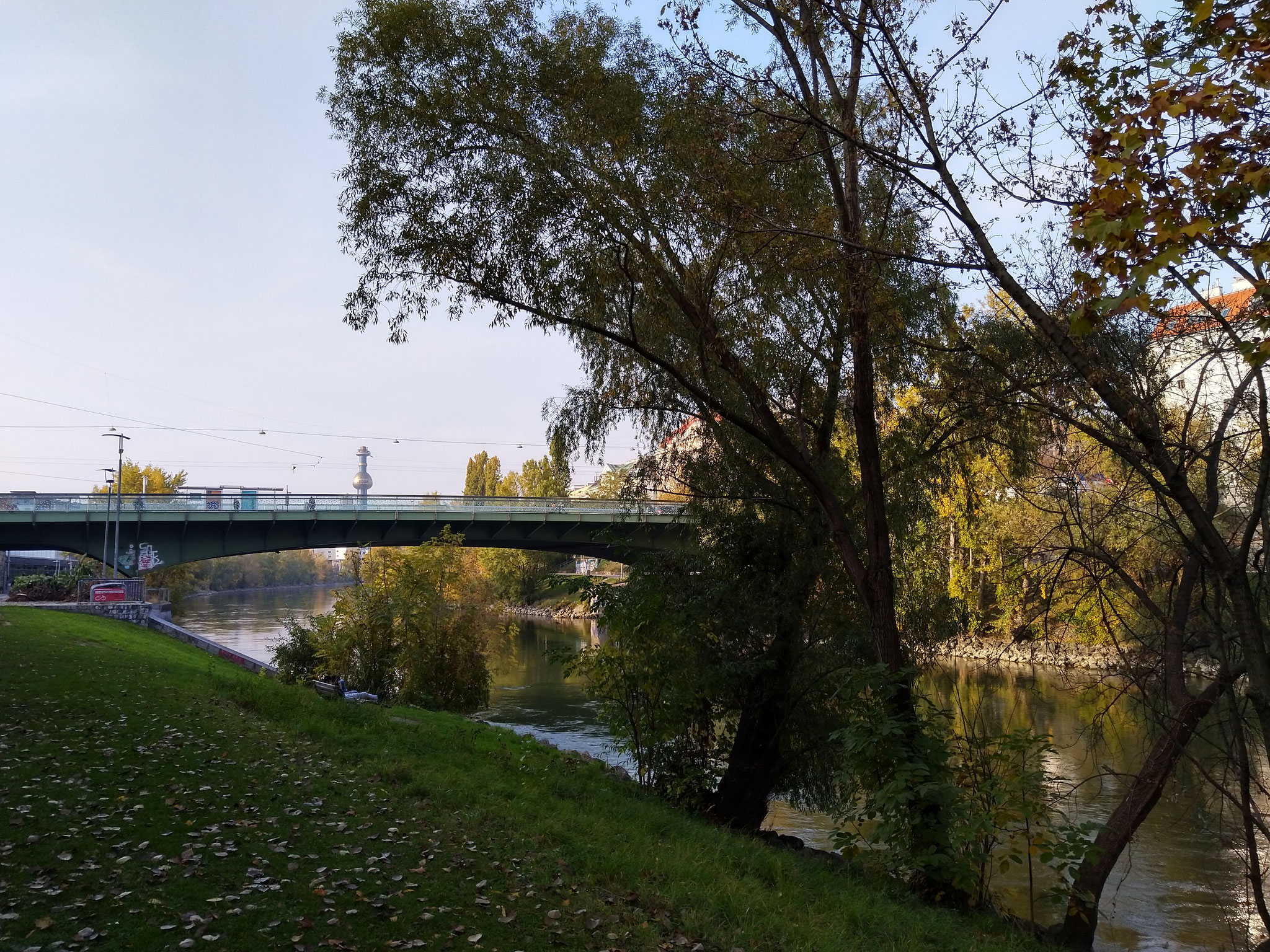 Giro Donaukanal in bici 
