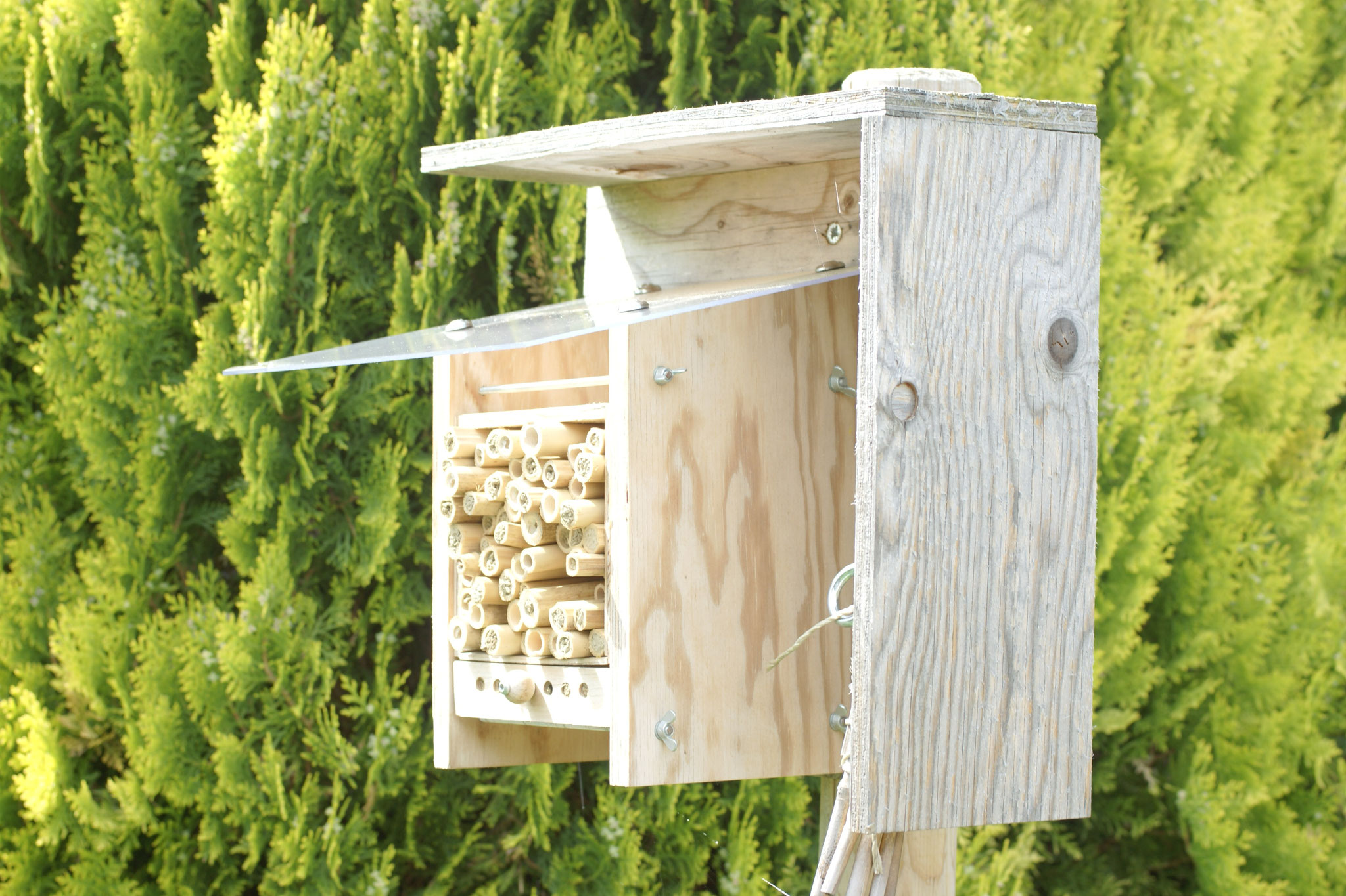 Wildbienenhotel (Wildbienen und Partner)