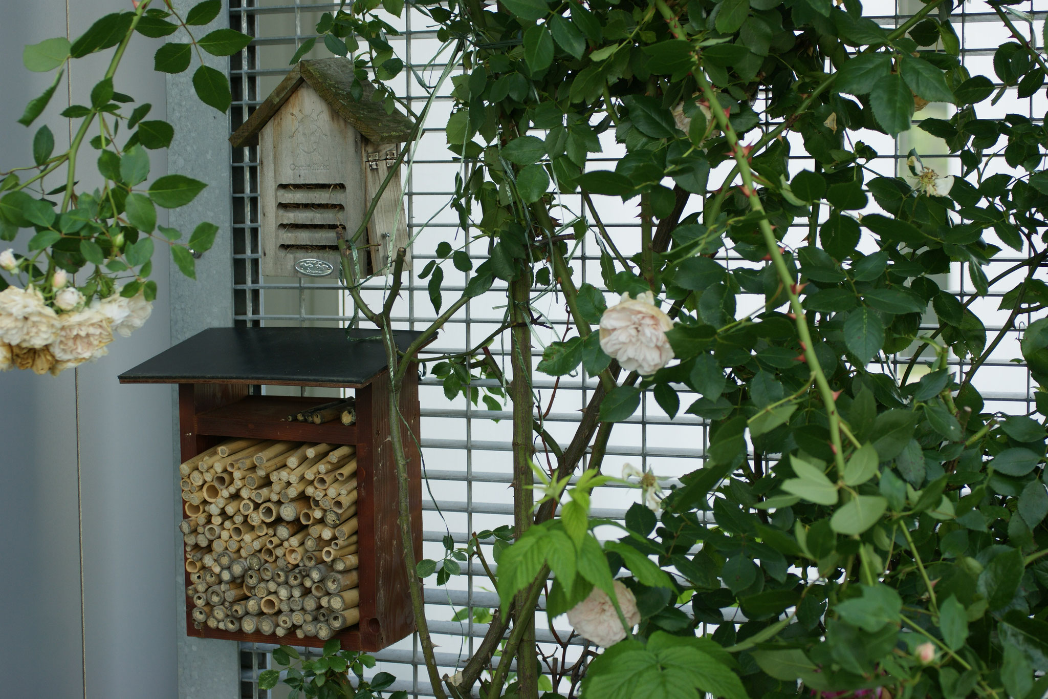 Wildbienenhotel (Eigenbau)