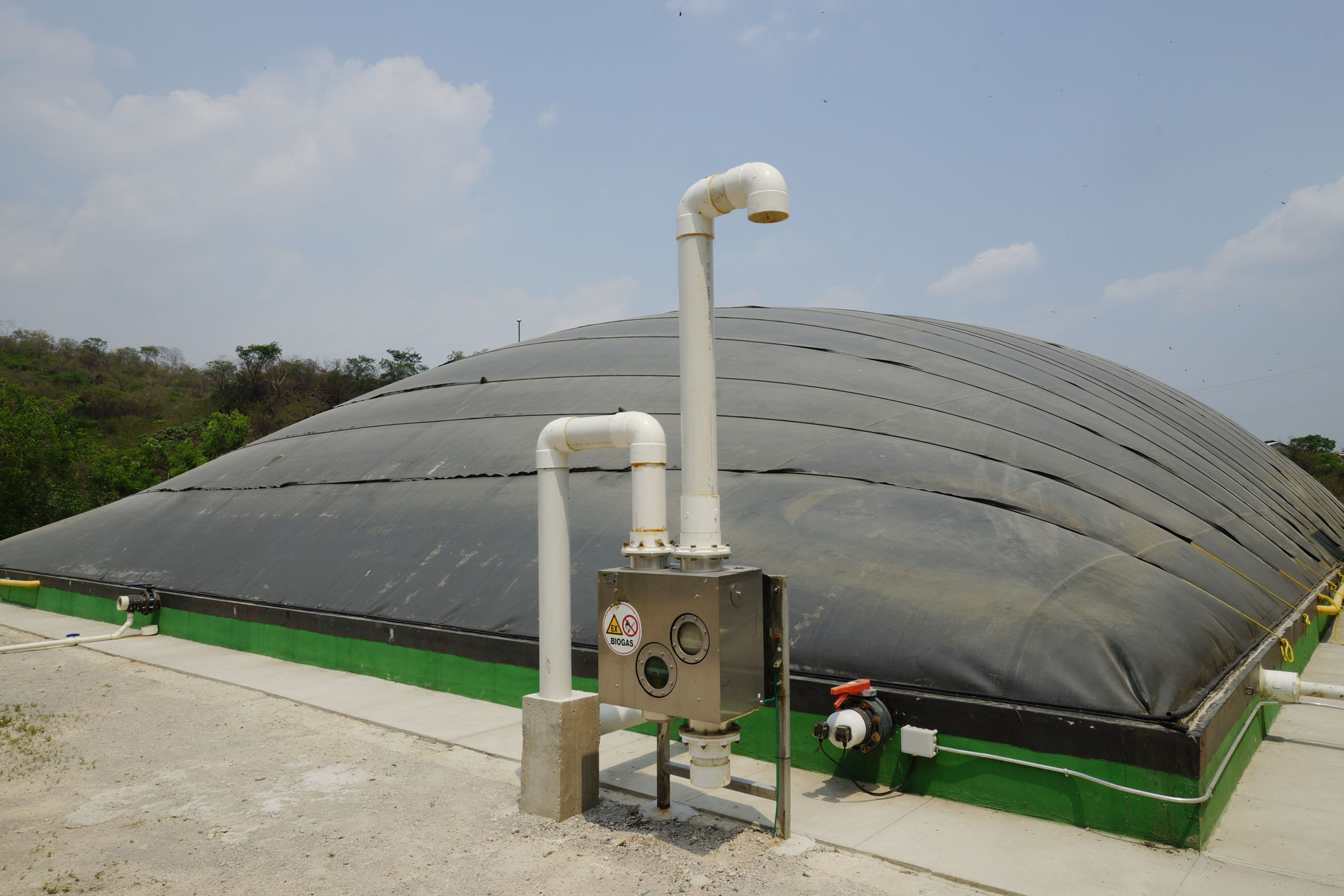 Biodigestores granja porcina