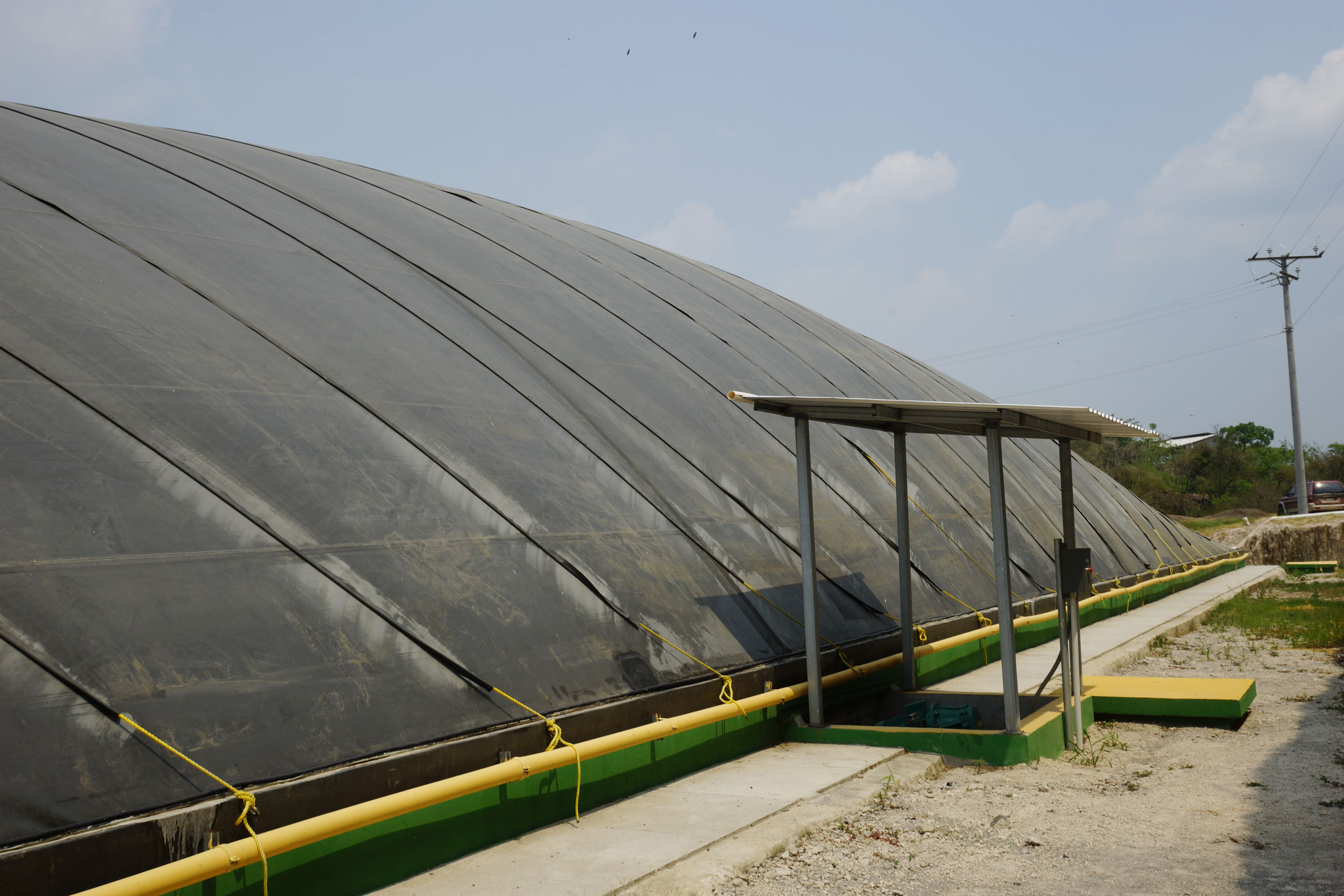 Biodigestores granja porcina