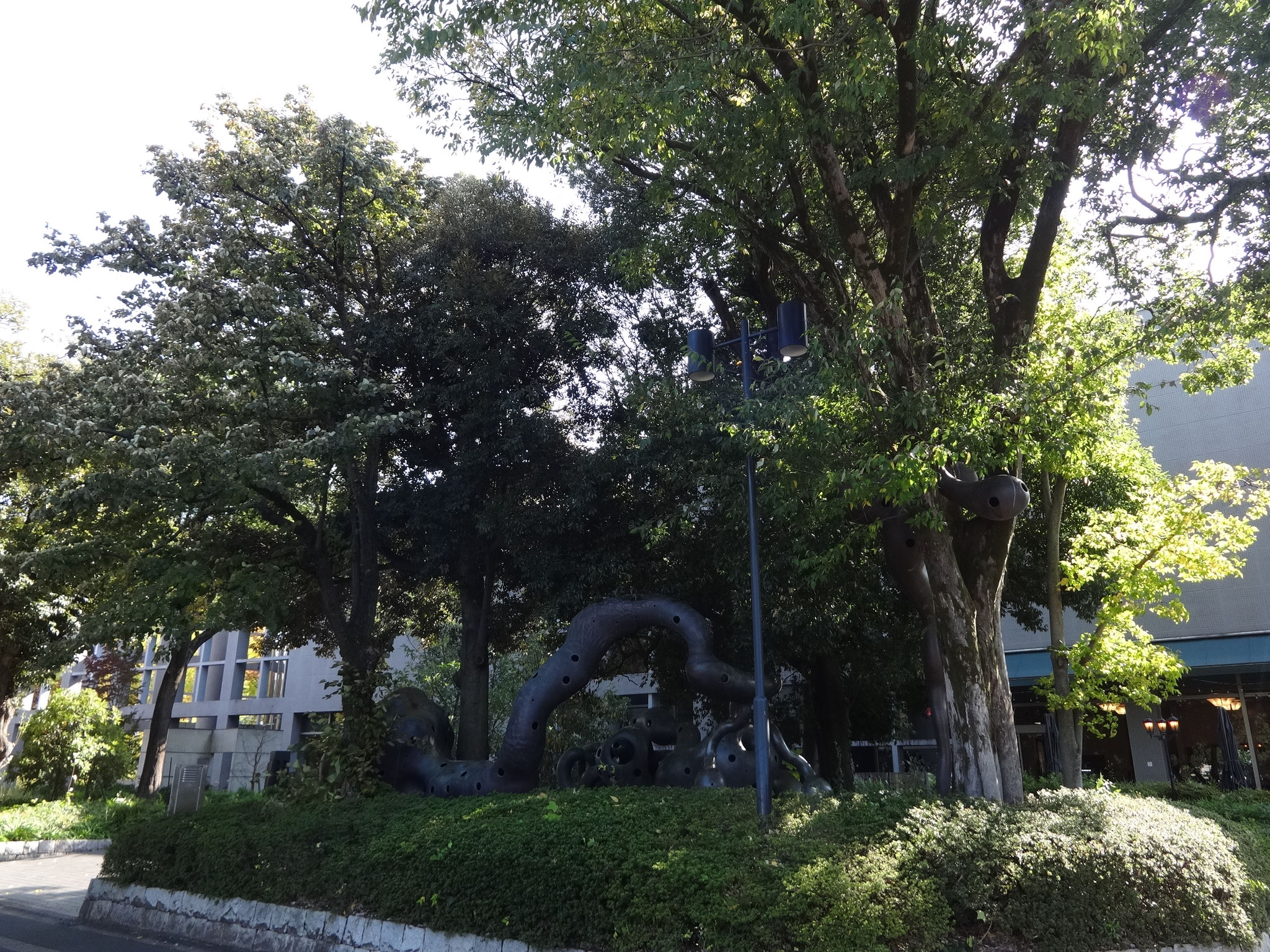 県立近代美術館≪橋本真之／果実の中の木もれ陽≫