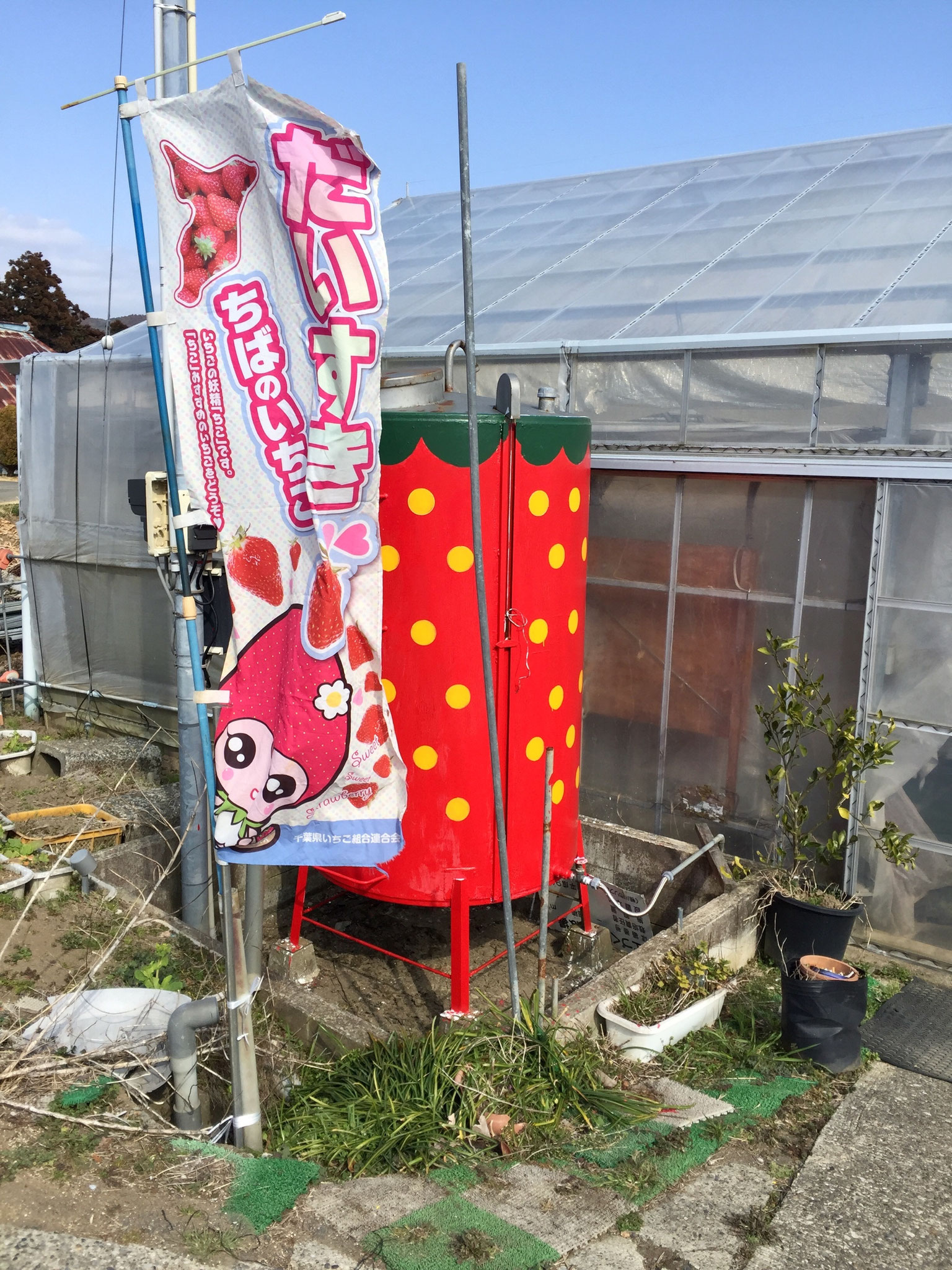 入り口