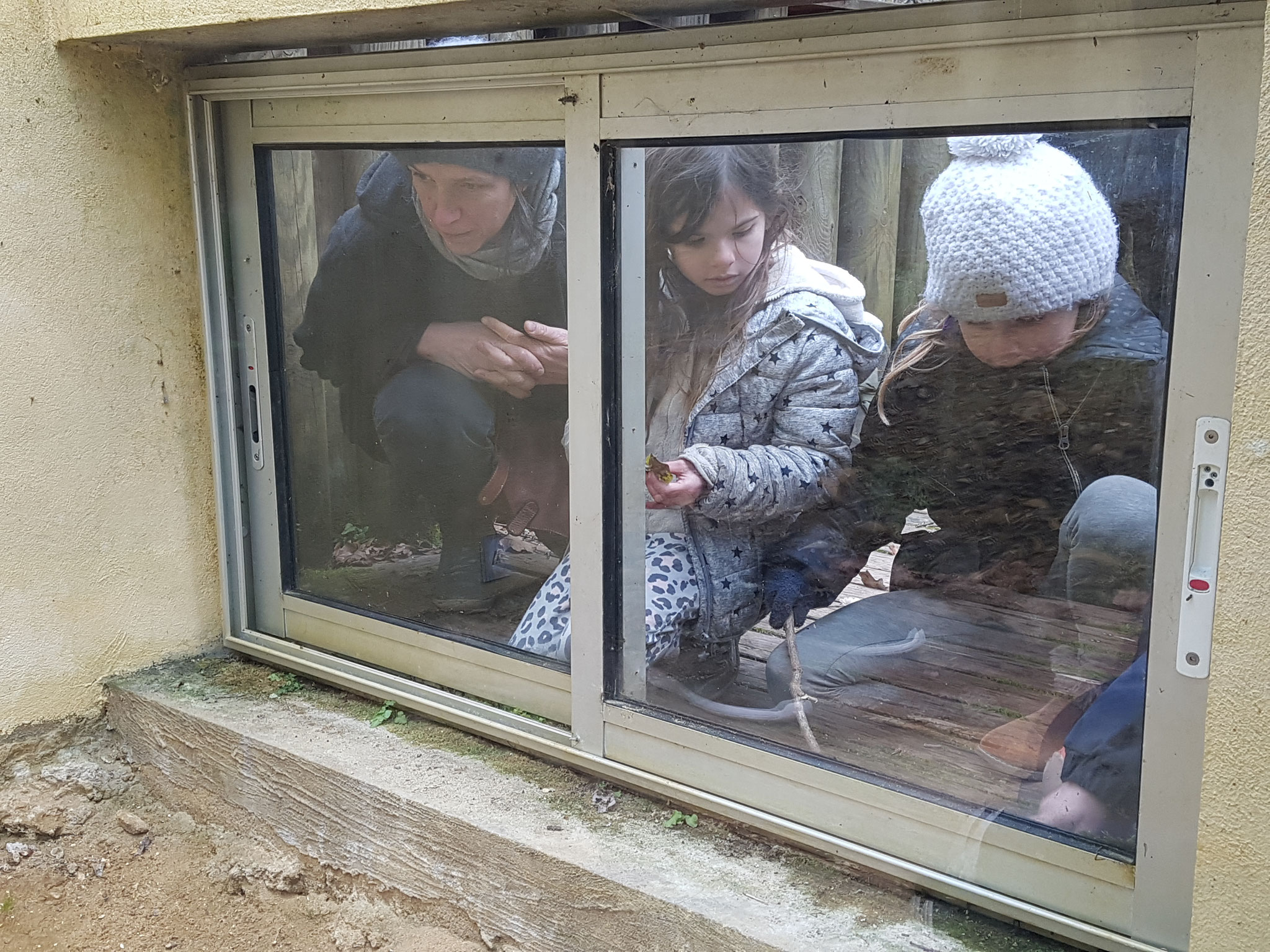 Les enfants à travers la vitrine de Lassime