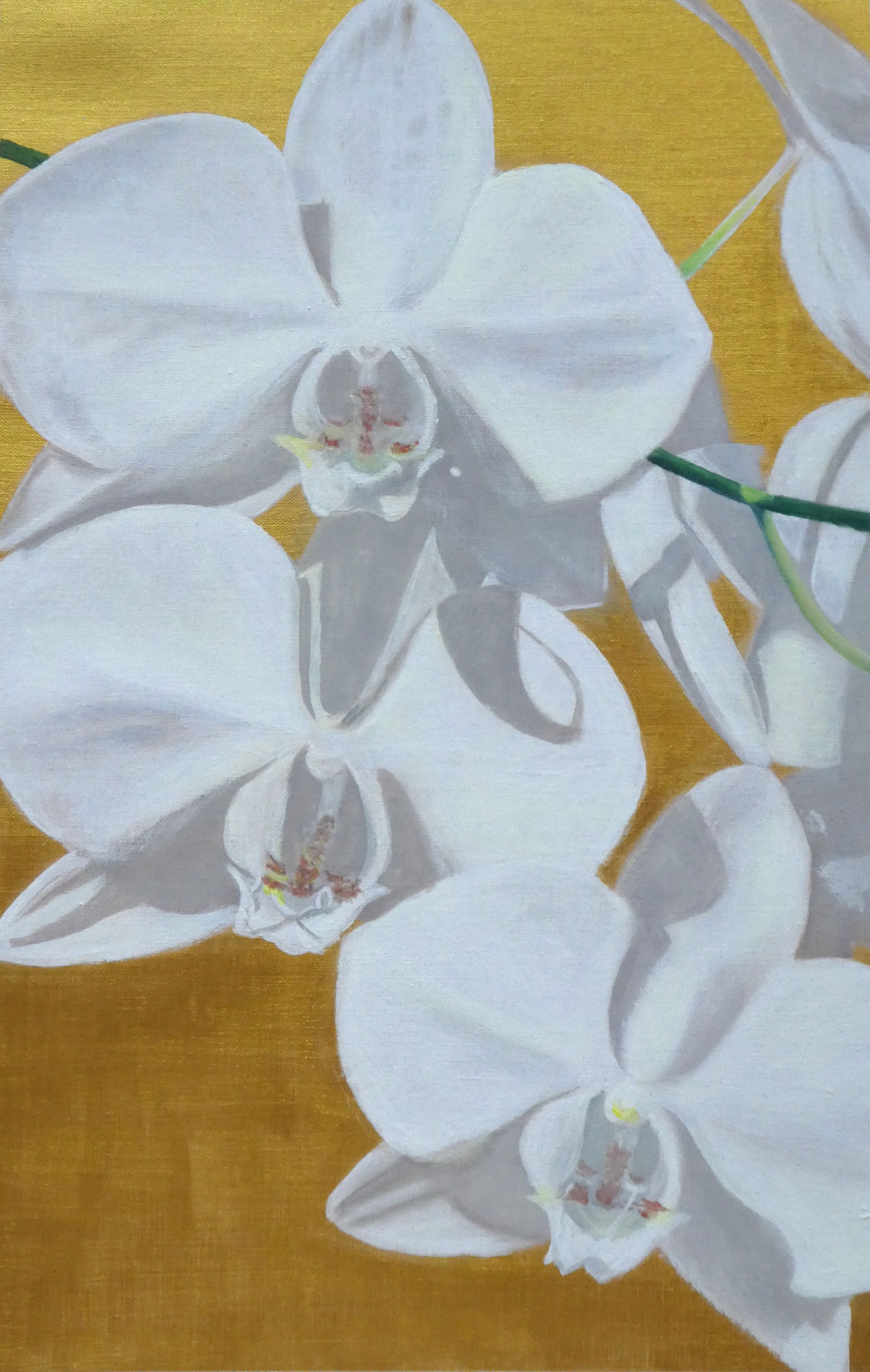 Orchideen auf Gold (1) (40 x 60)