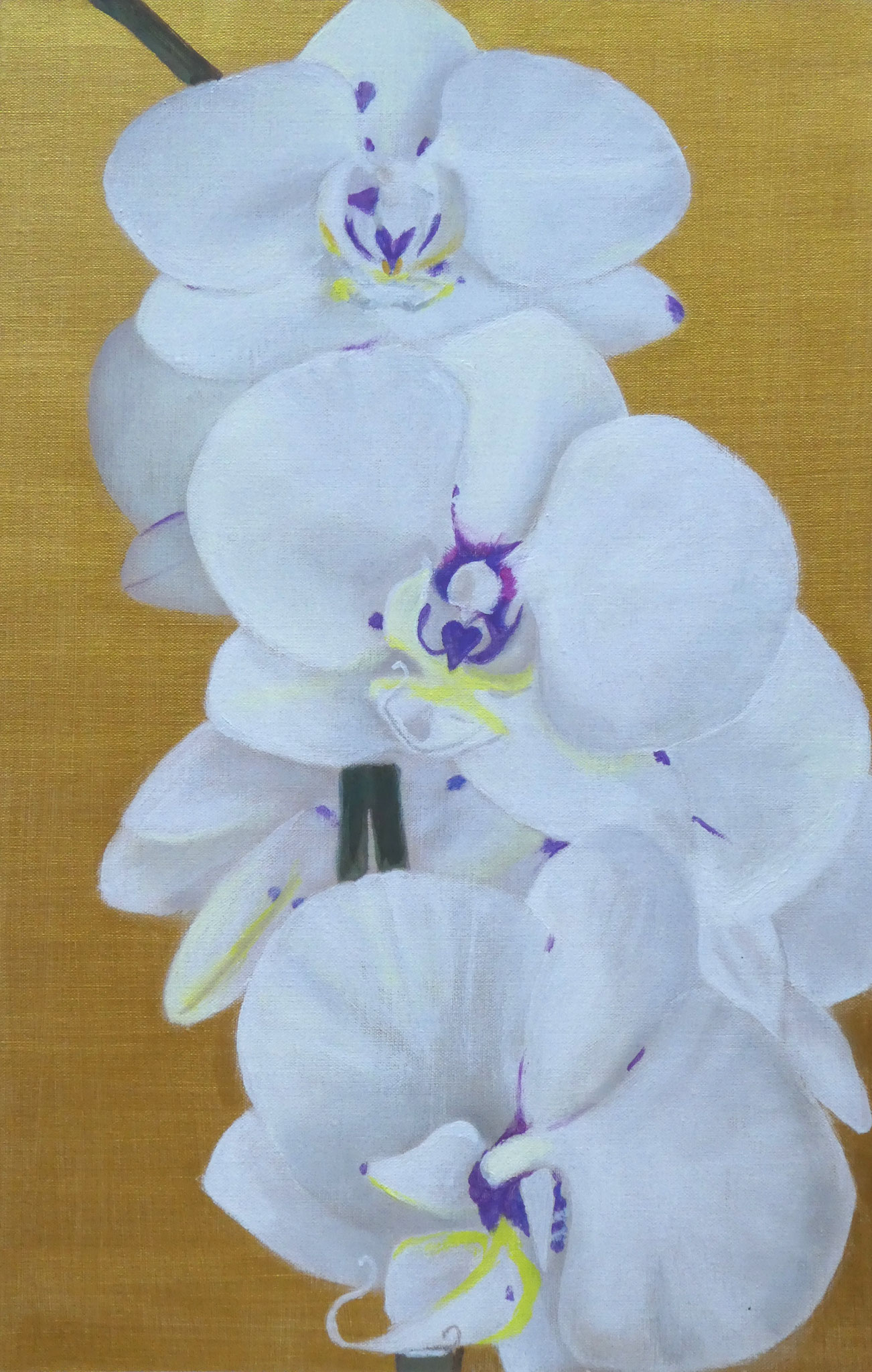 Orchideen auf Gold (3) (40 x 60)