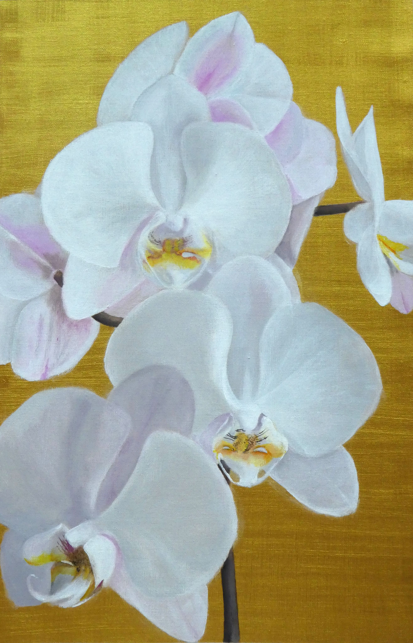 Orchideen auf Gold (5) (40 x 60)