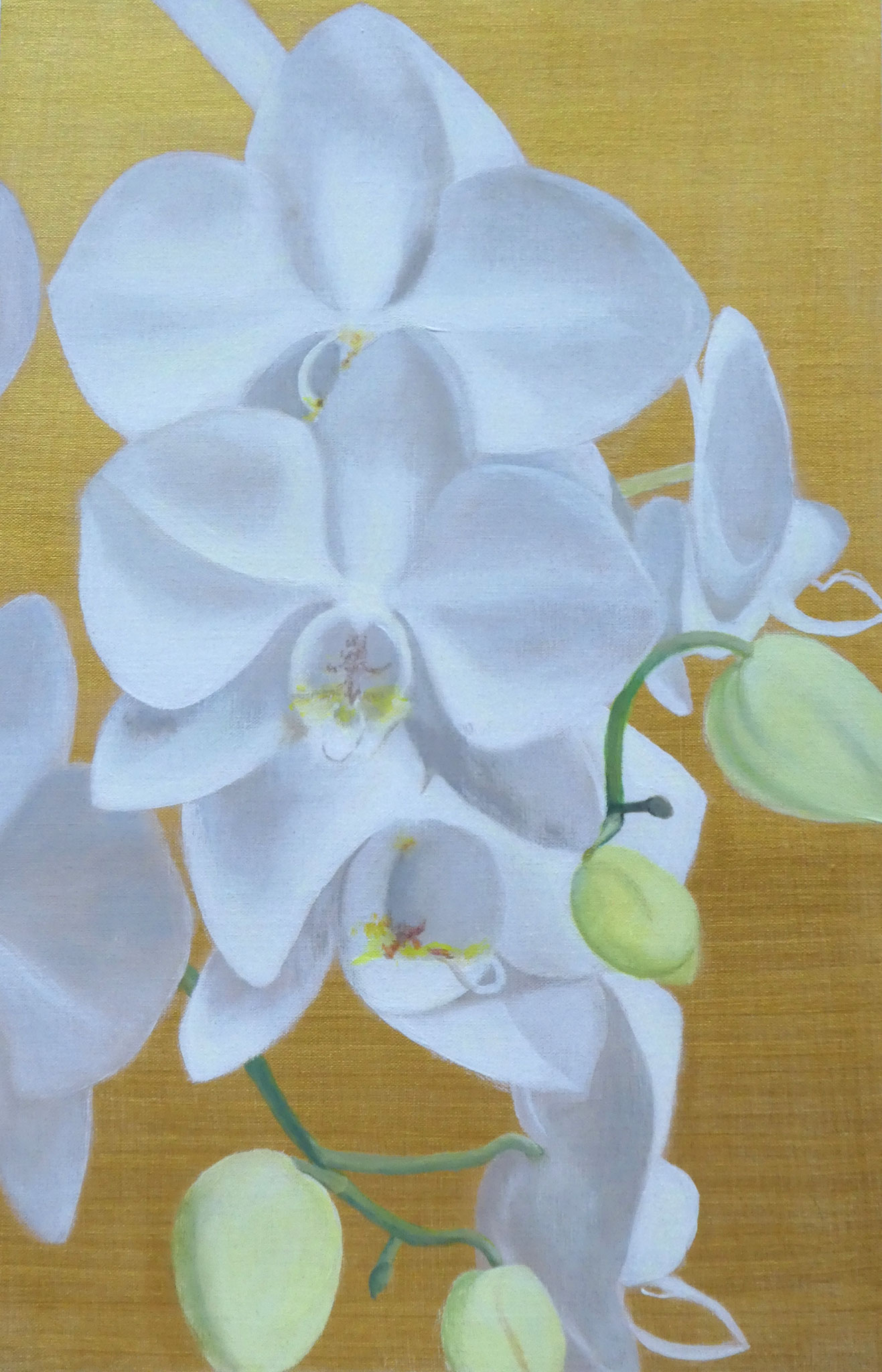 Orchideen auf Gold (2) (40 x 60)