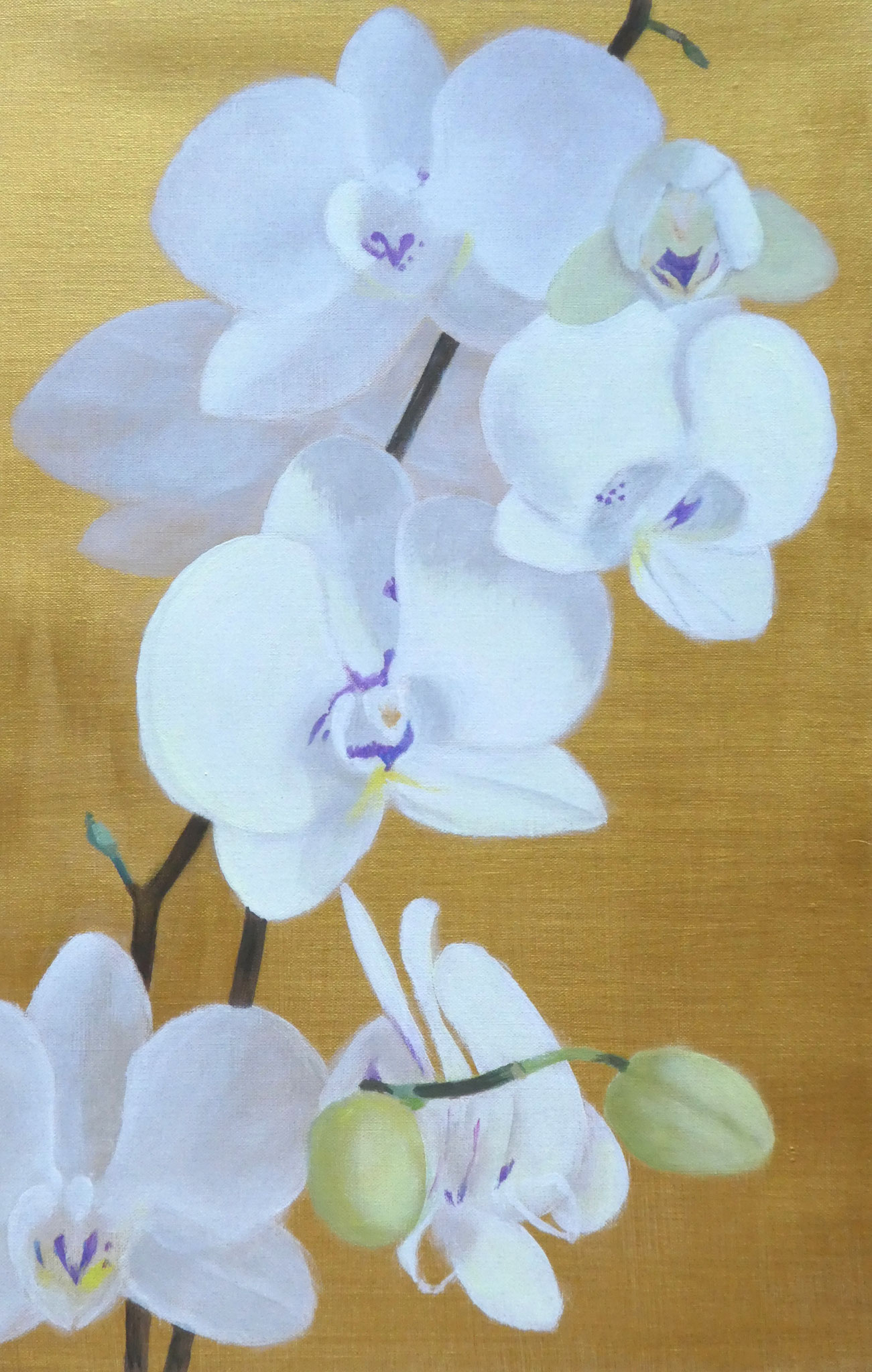 Orchideen auf Gold (4) (40 x 60)