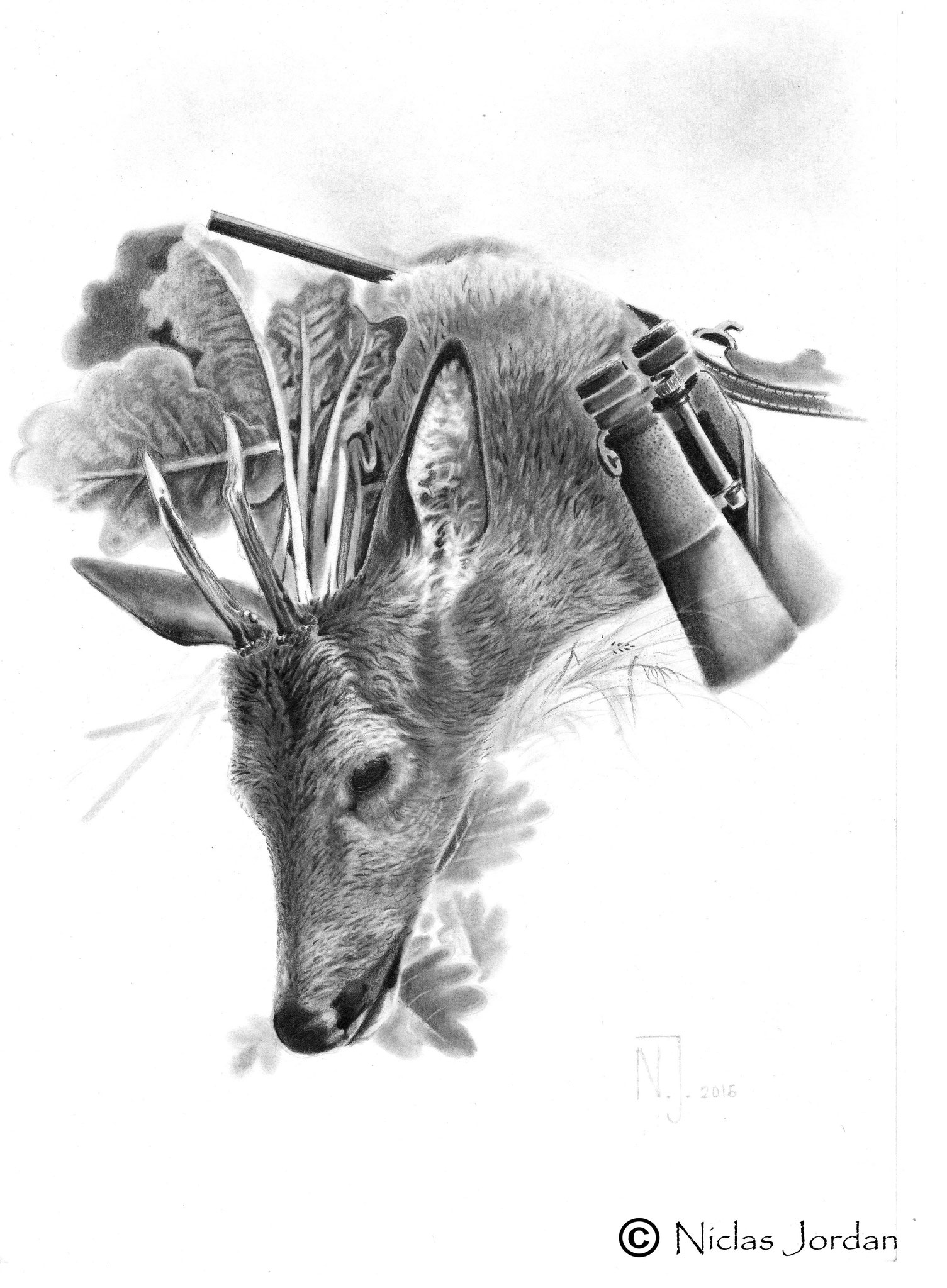 "Der erste Bock" 2016