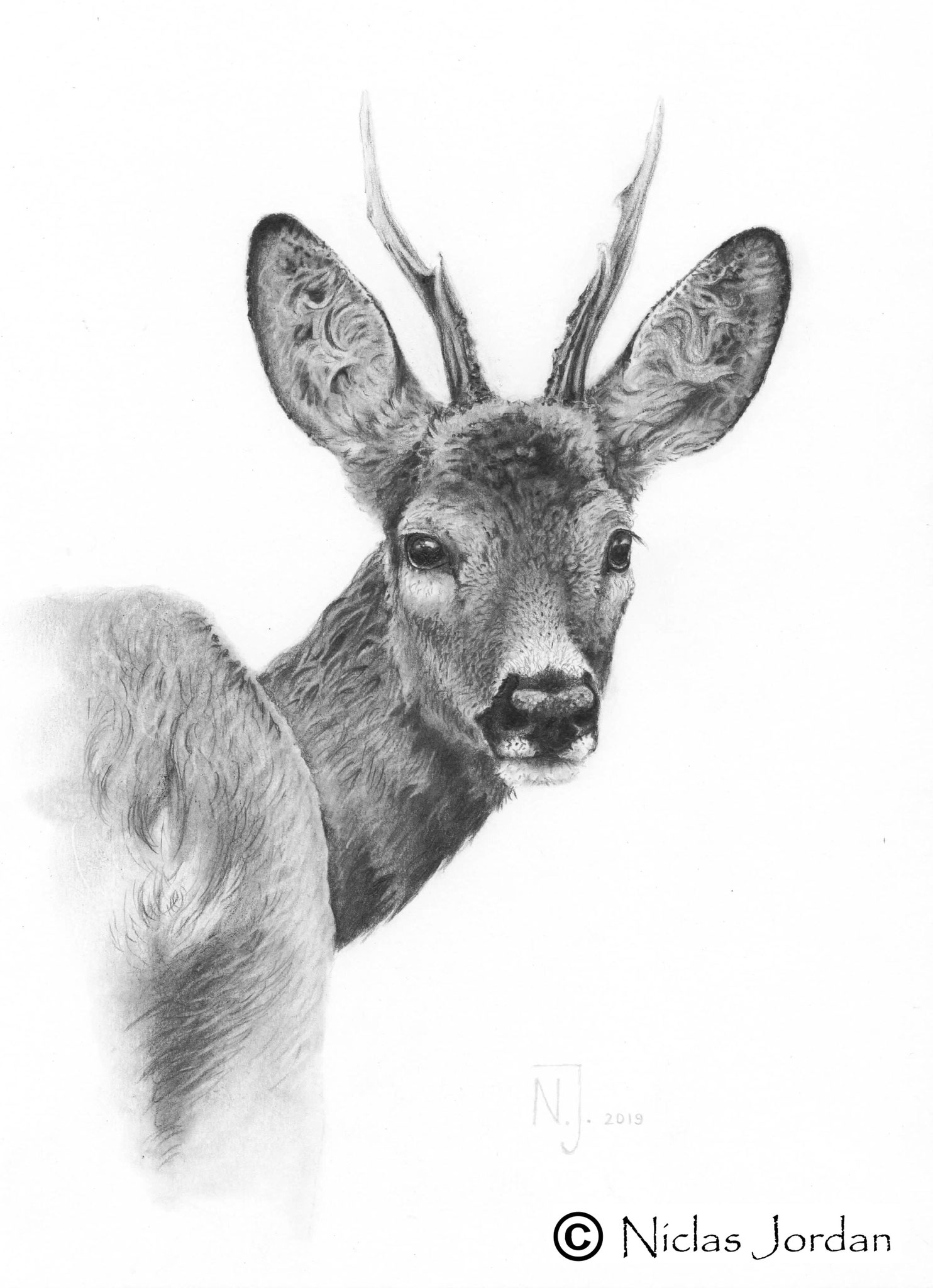 "Jungjägerbock" 2019