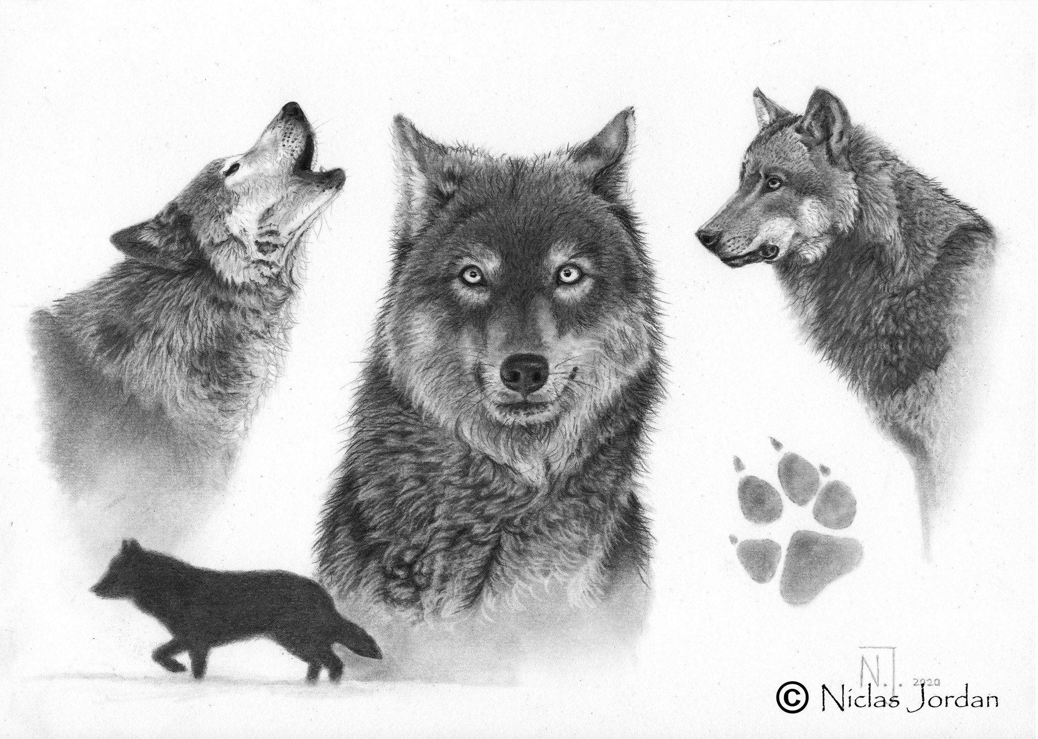 "Wolfsstudie" 2020