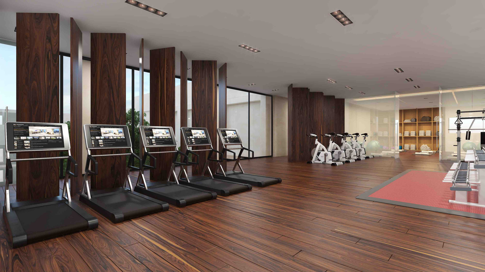 GYM