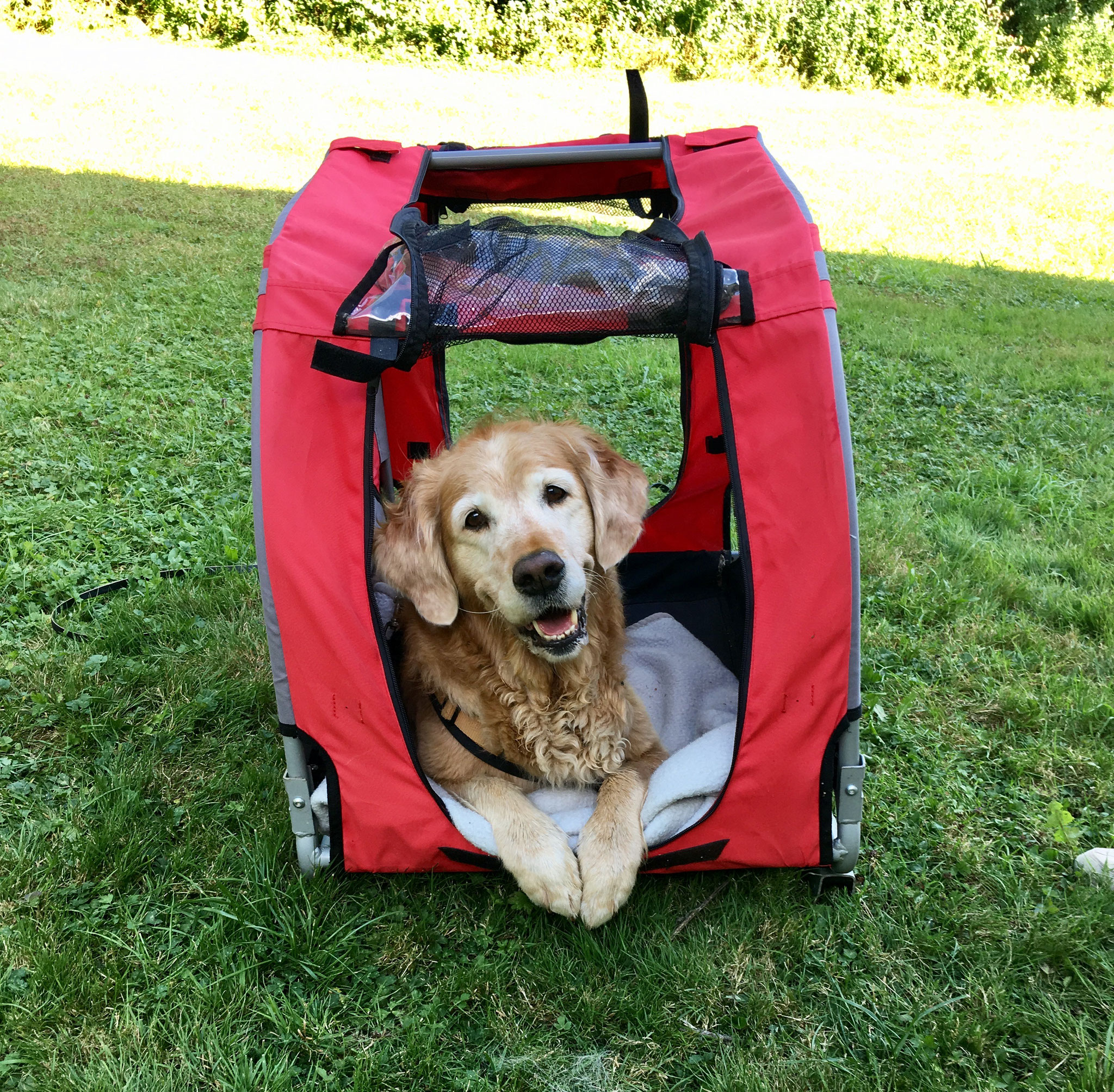 Cara Mella übt das Hänger fahren (noch ohne Räder)