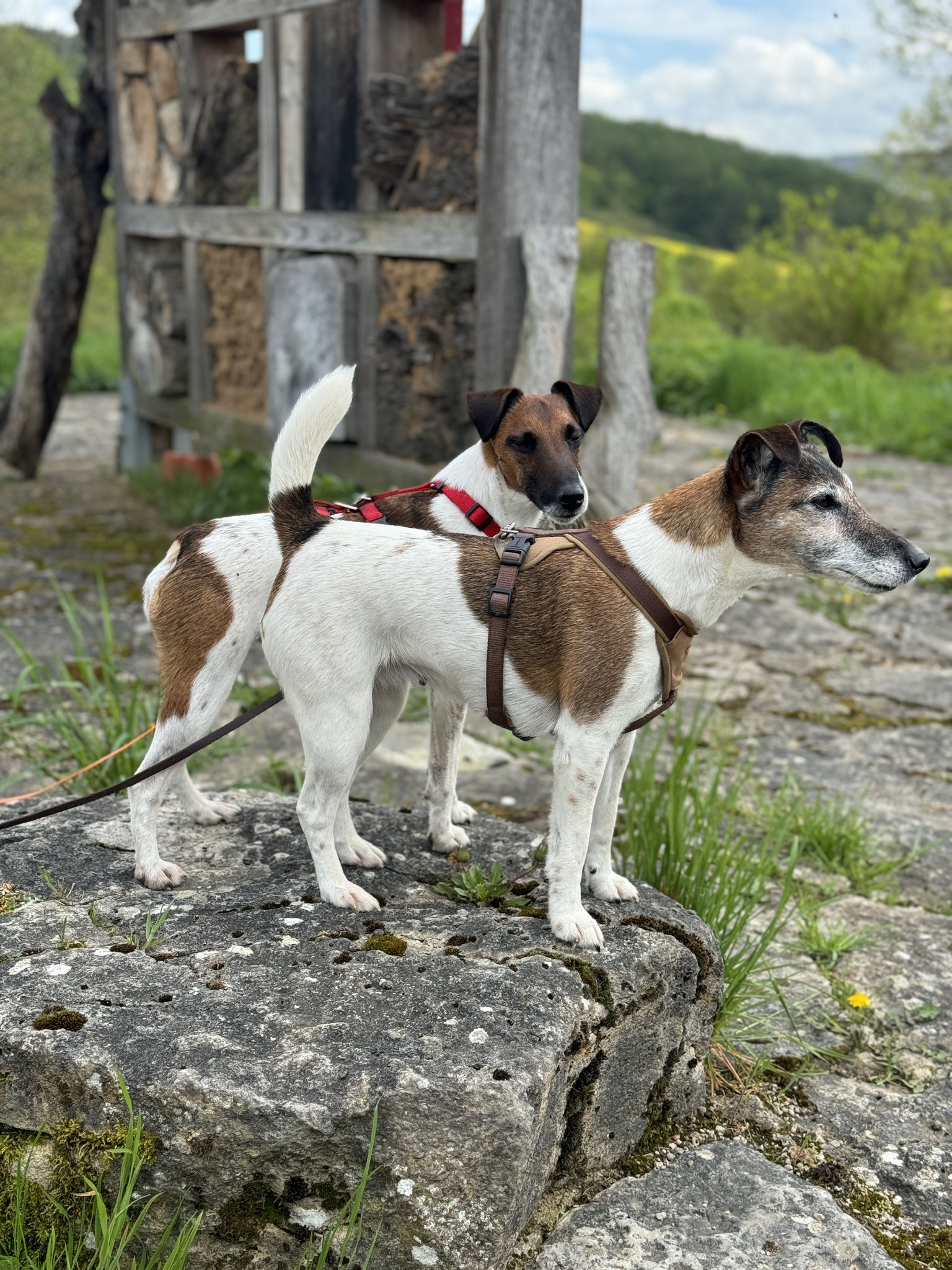 Quitte mit Tochter Adele