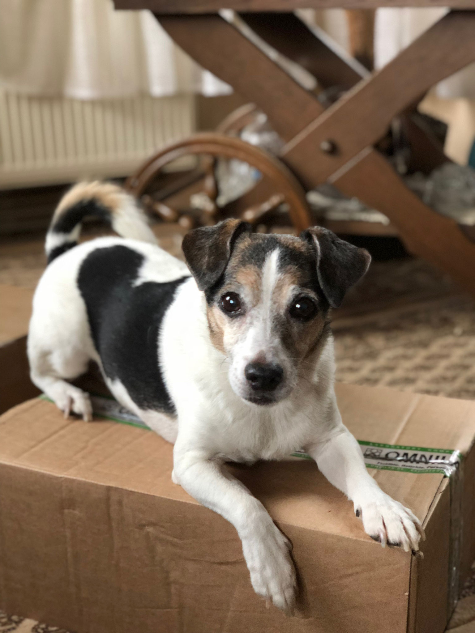Jackie ist der Turner vom Dienst