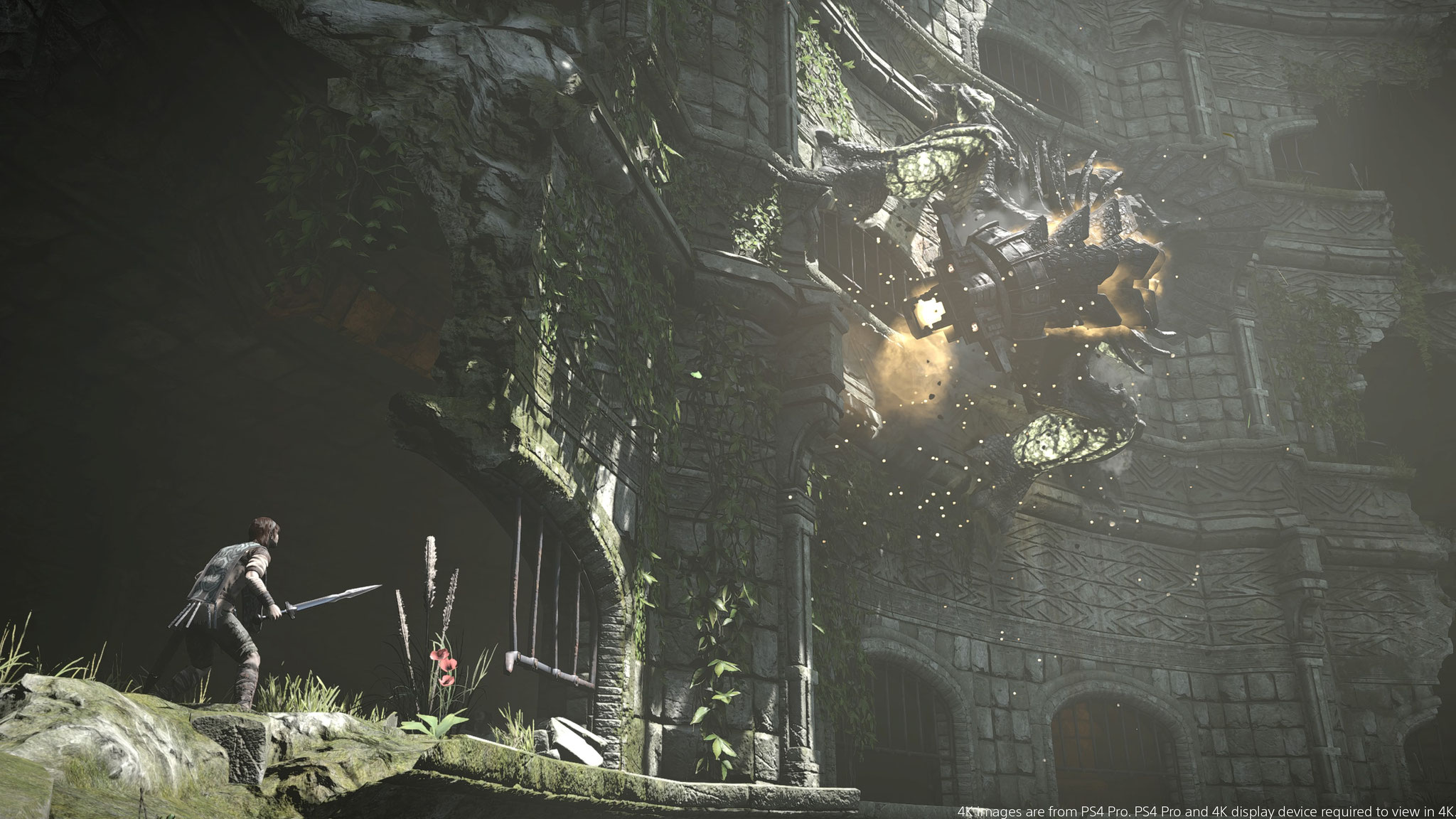 Shadow of the Colossus (PS4/PS5)