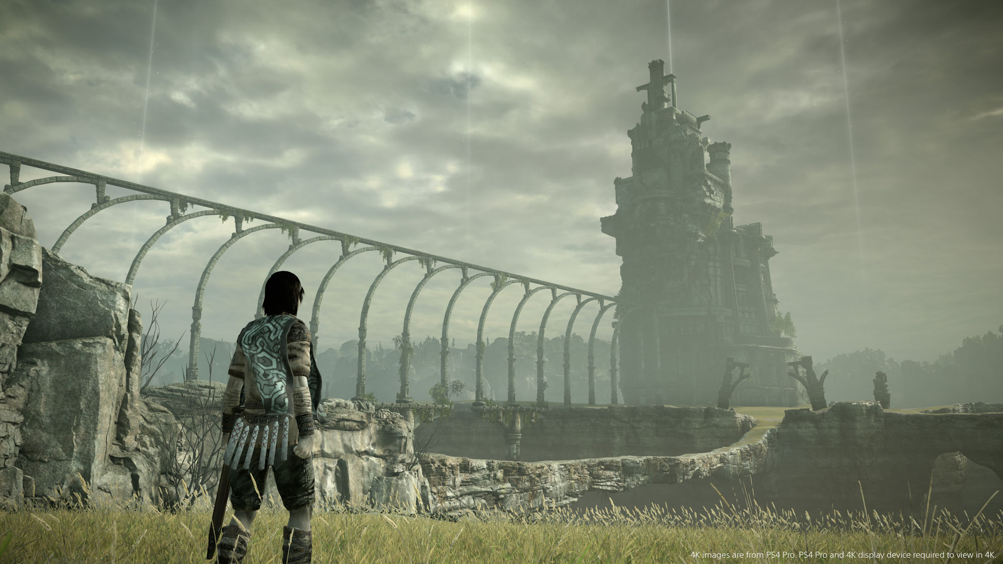 Shadow of the Colossus (PS4/PS5)