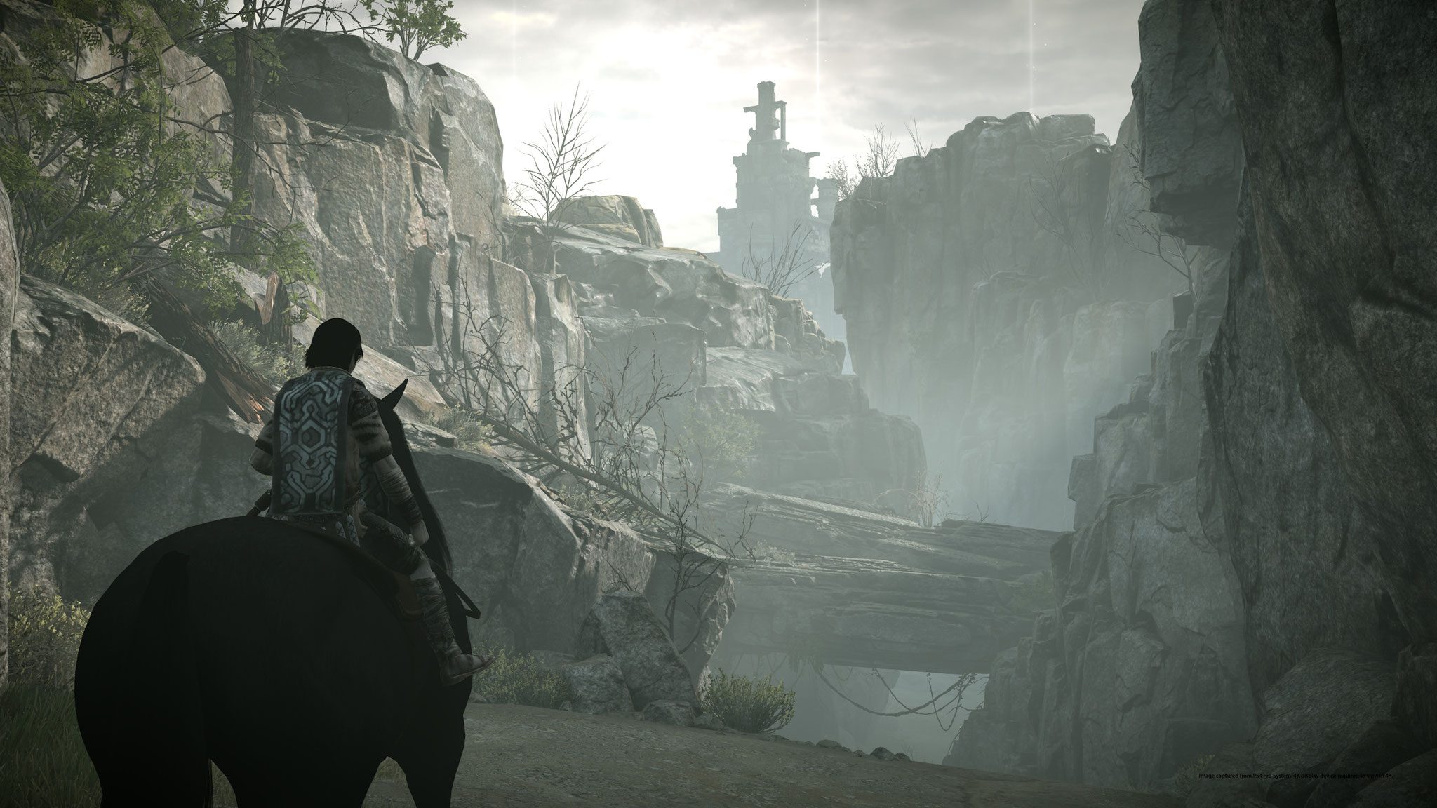 Shadow of the Colossus (PS4/PS5)