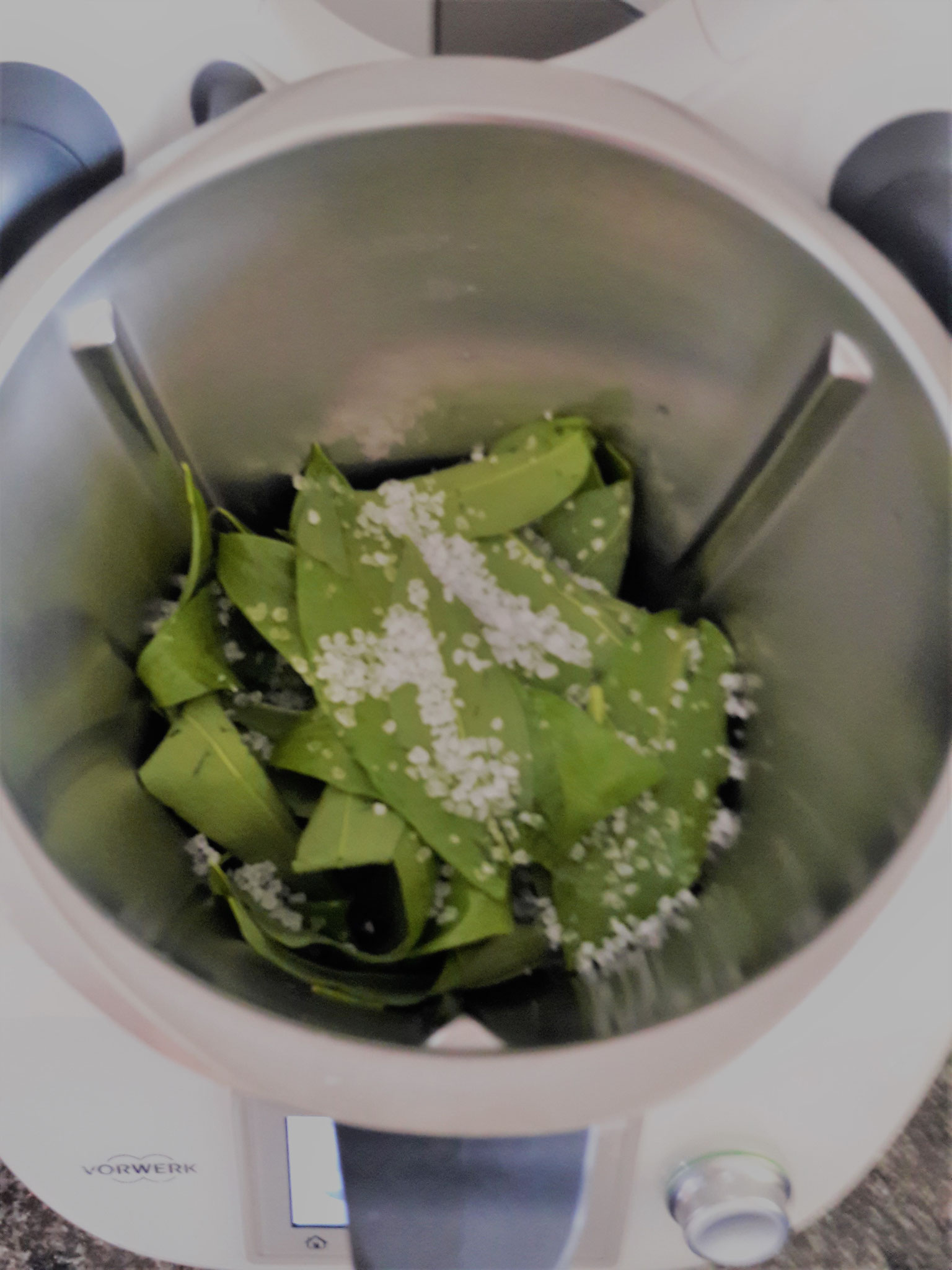 Bärlauchpesto in the making