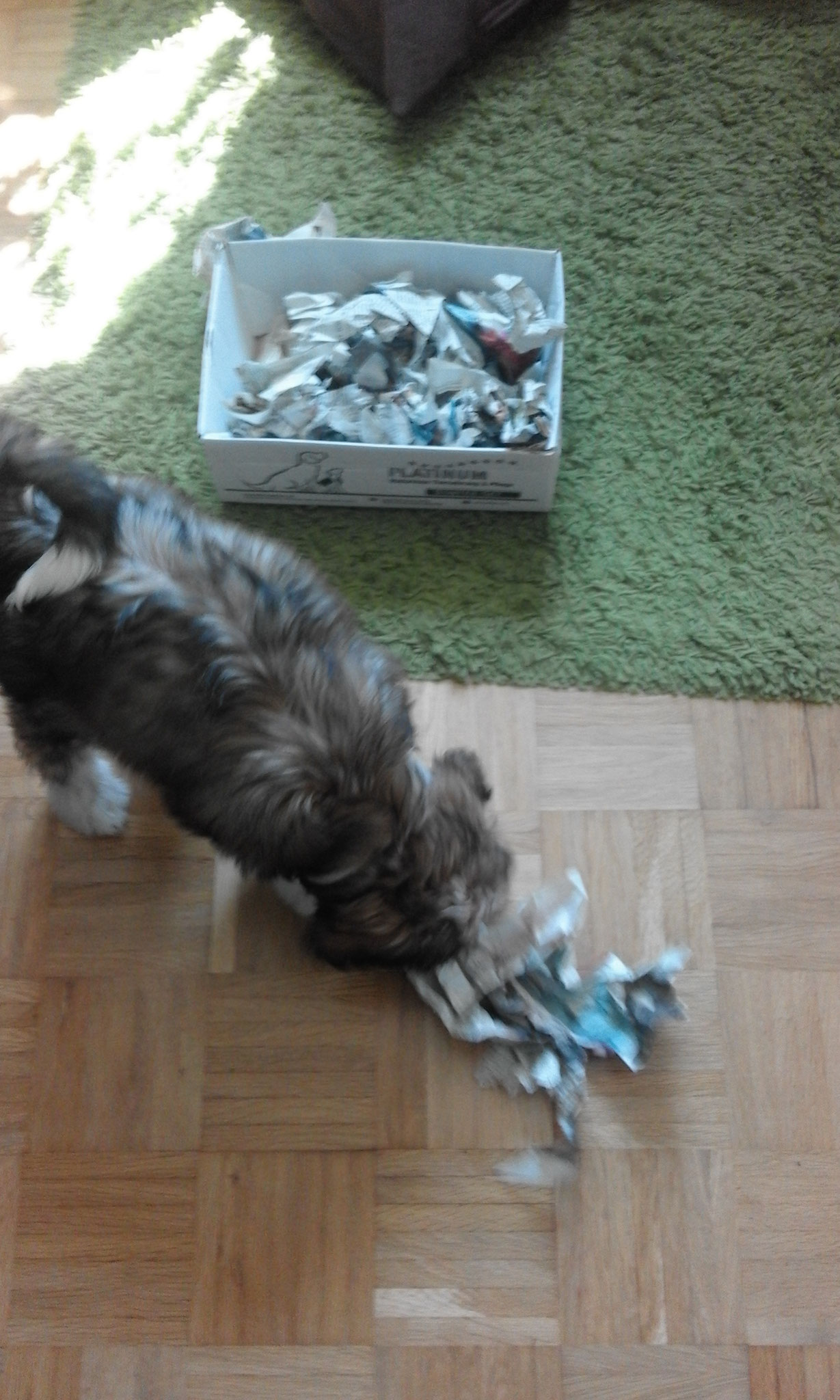 ..sie will arbeiten..