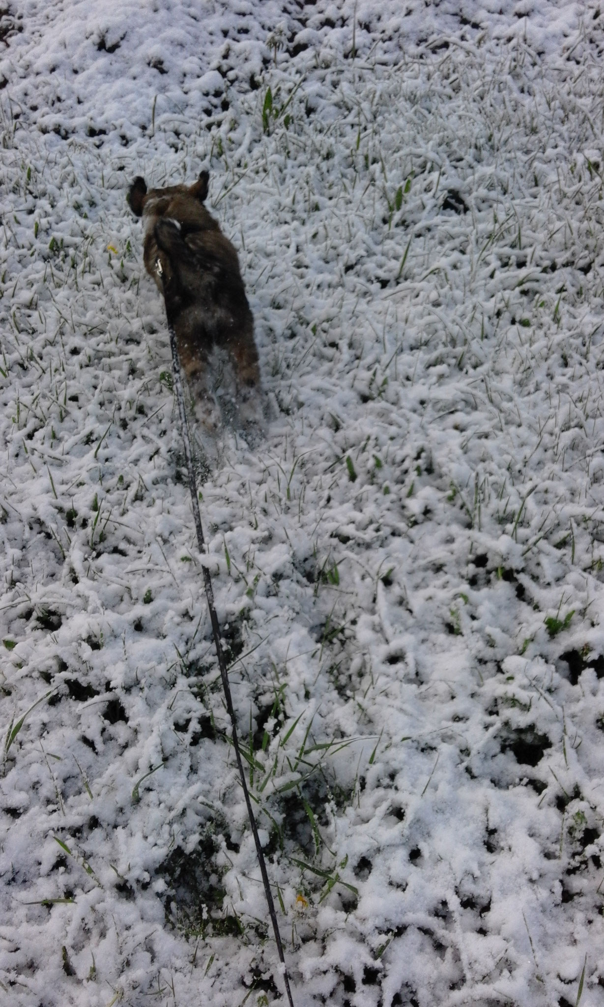 brrr Schnee, na, dann haben die Kleinen den wenigstens auch 